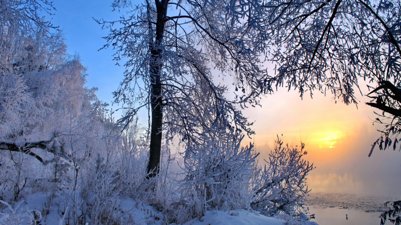 Обои утро, зима, снег, дерево, природа в разрешении 1366x768