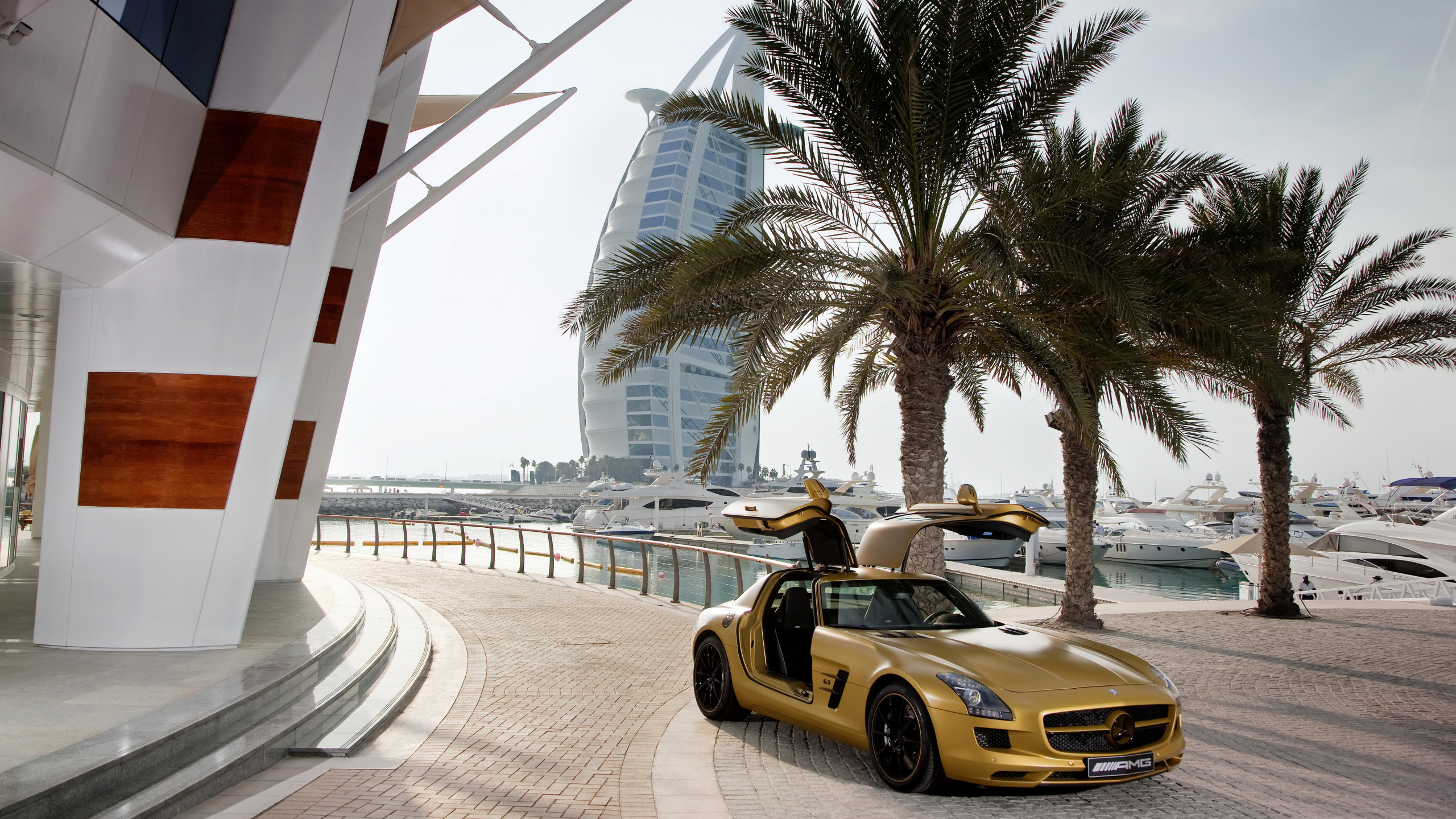 Обои авто, спорткар, дерево, здание, завод в разрешении 2560x1440