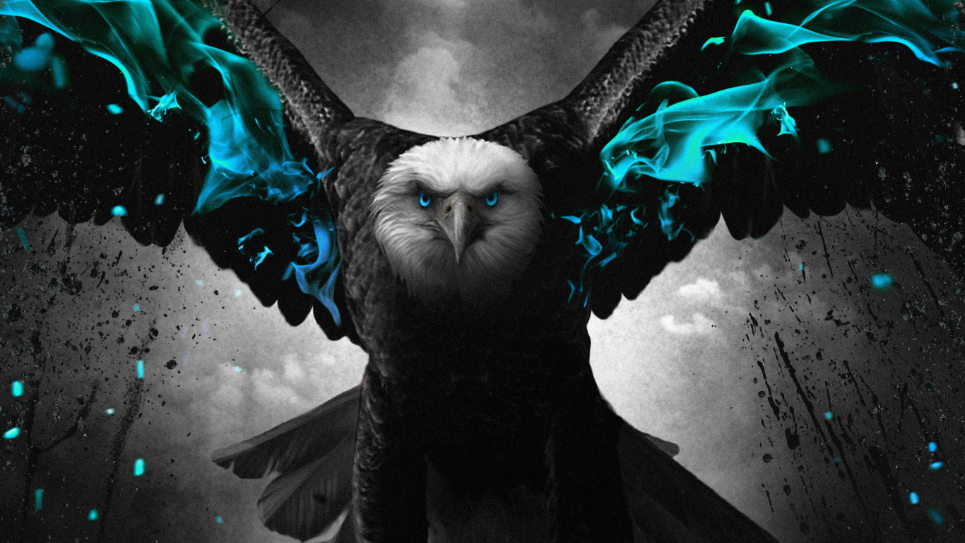 Обои темнота, графический дизайн, птица, Люди в природе, жидкий в разрешении 1366x768