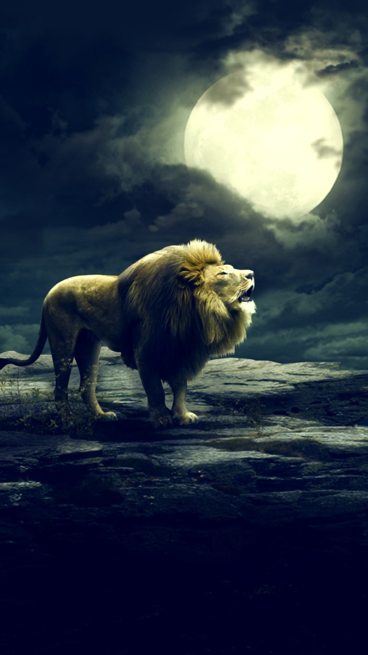 Обои живая природа, облако, атмосфера, луна, масаи Лев в разрешении 720x1280