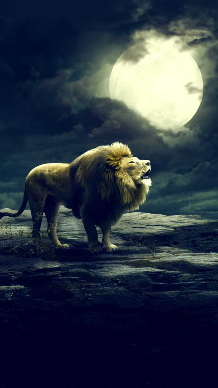 Обои живая природа, облако, атмосфера, луна, масаи Лев в разрешении 750x1334