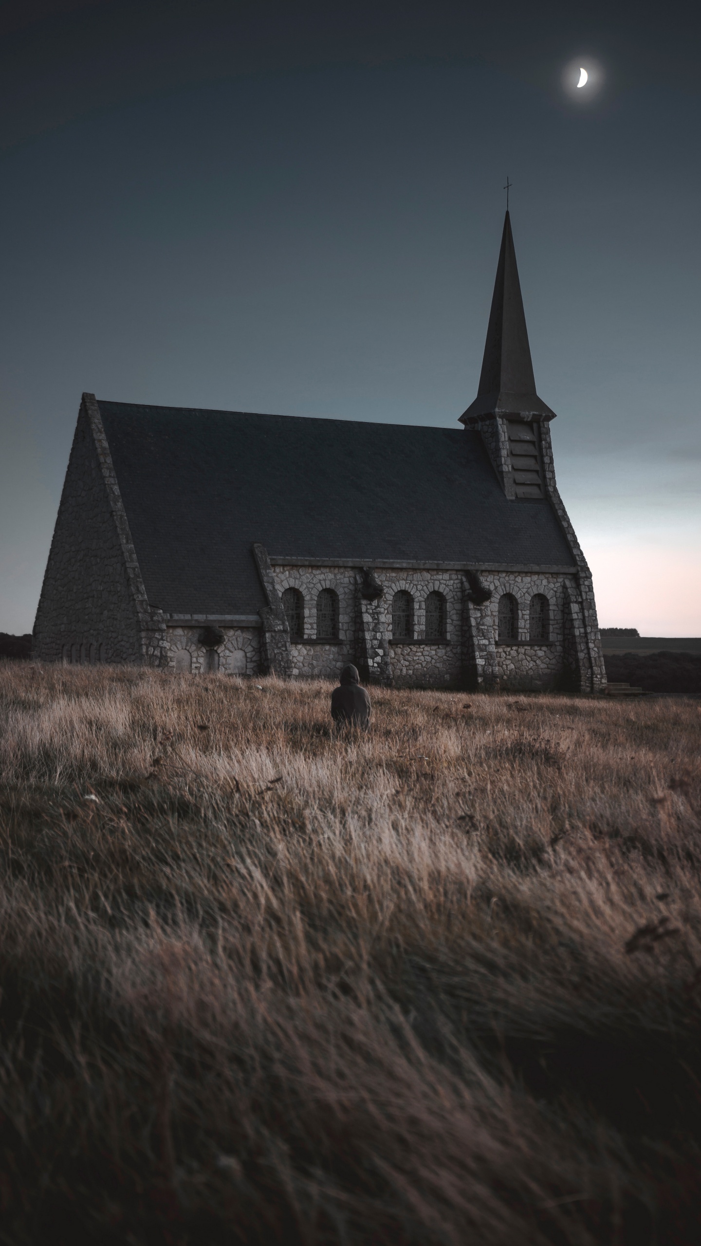 Обои свет, ночь, атмосфера, архитектура, Хаус в разрешении 1440x2560