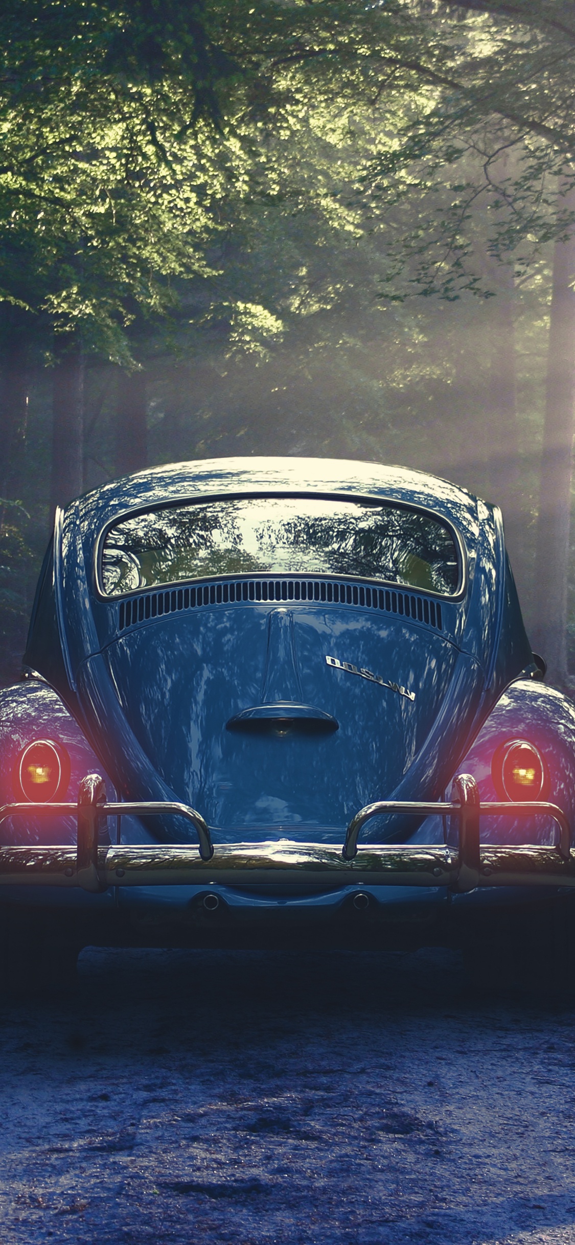 Обои Фольксваген новый жук, авто, Фольксваген жук, дерево, Классика в разрешении 1125x2436