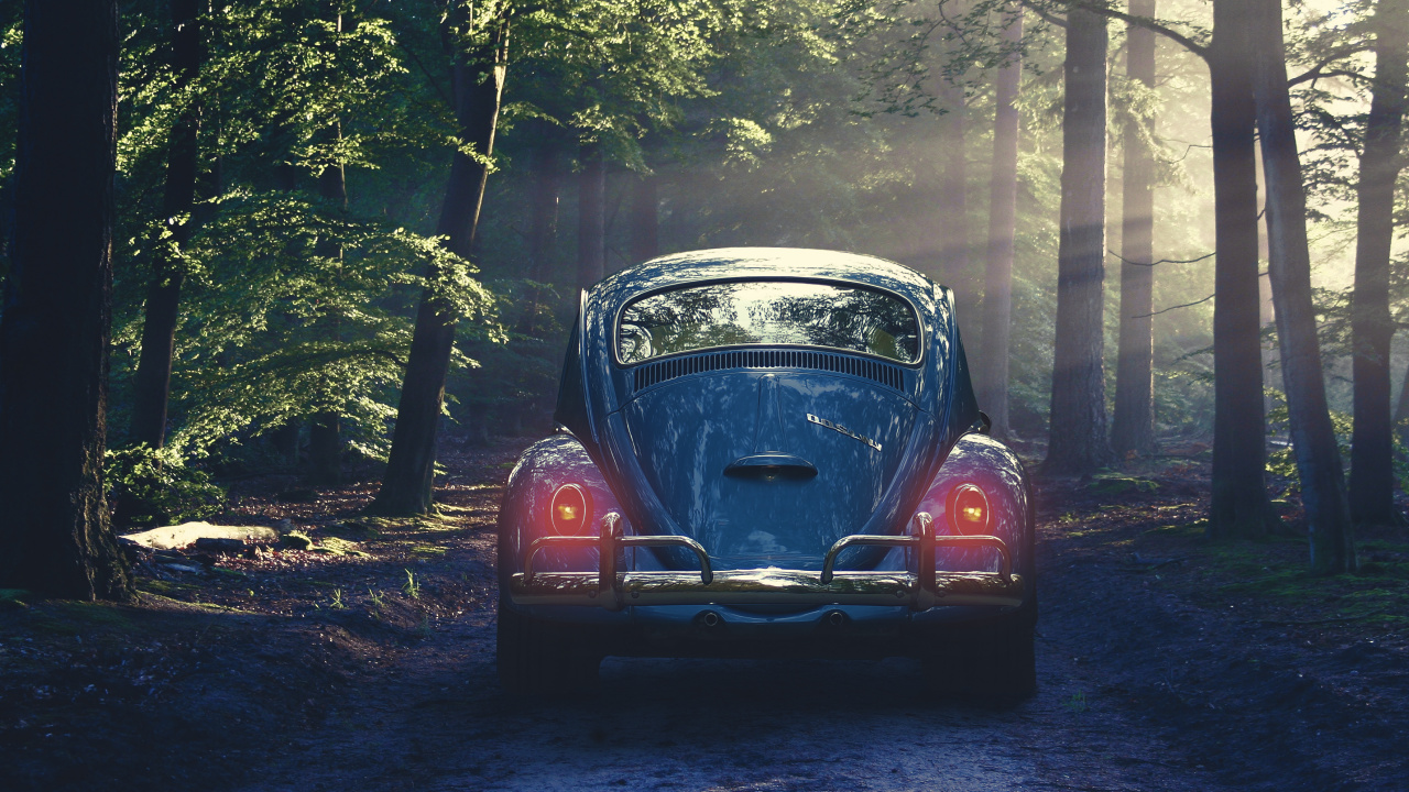 Обои Фольксваген новый жук, авто, Фольксваген жук, дерево, Классика в разрешении 1280x720