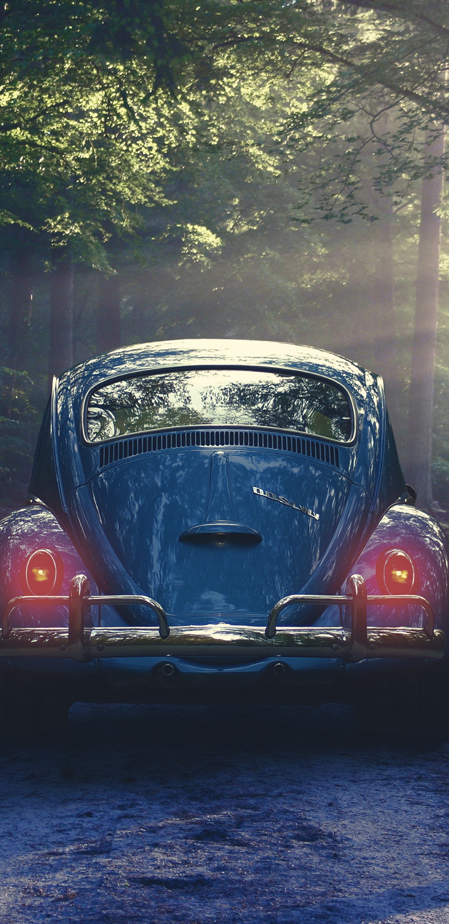 Обои Фольксваген новый жук, авто, Фольксваген жук, дерево, Классика в разрешении 1440x2960