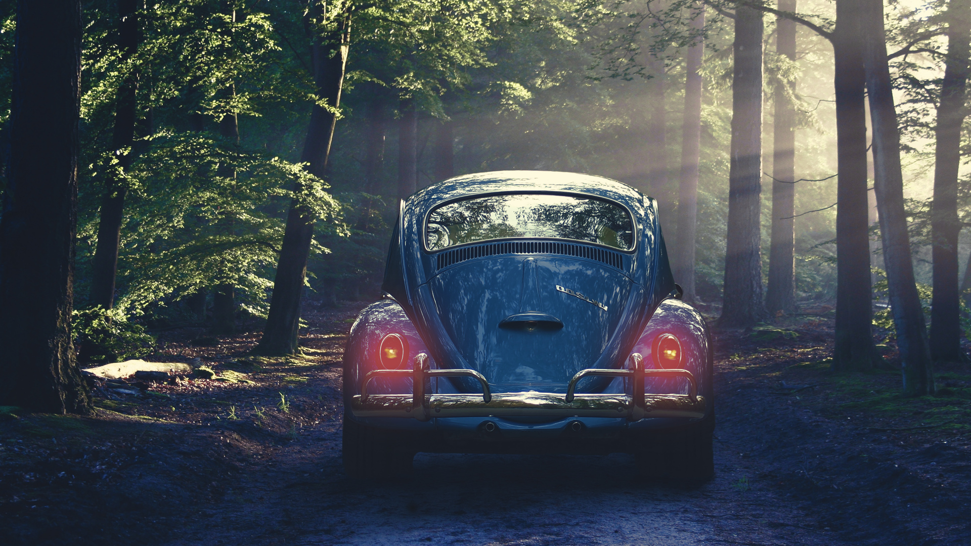 Обои Фольксваген новый жук, авто, Фольксваген жук, дерево, Классика в разрешении 1920x1080