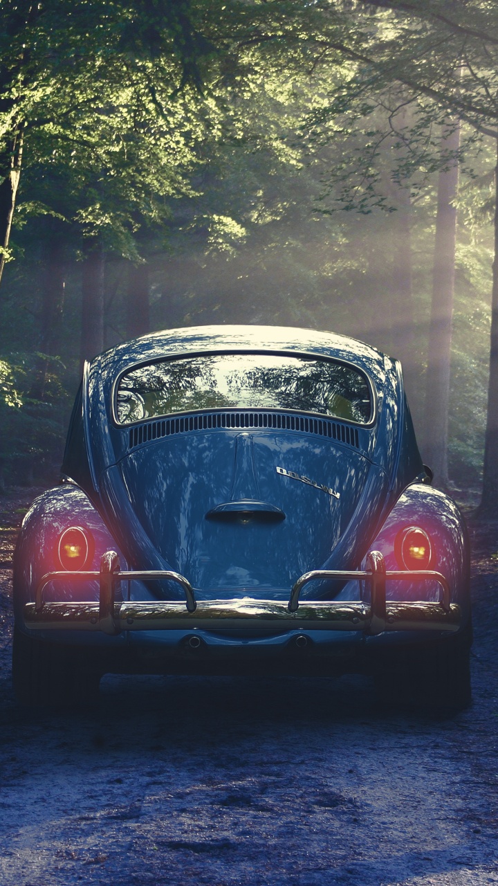 Обои Фольксваген новый жук, авто, Фольксваген жук, дерево, Классика в разрешении 720x1280