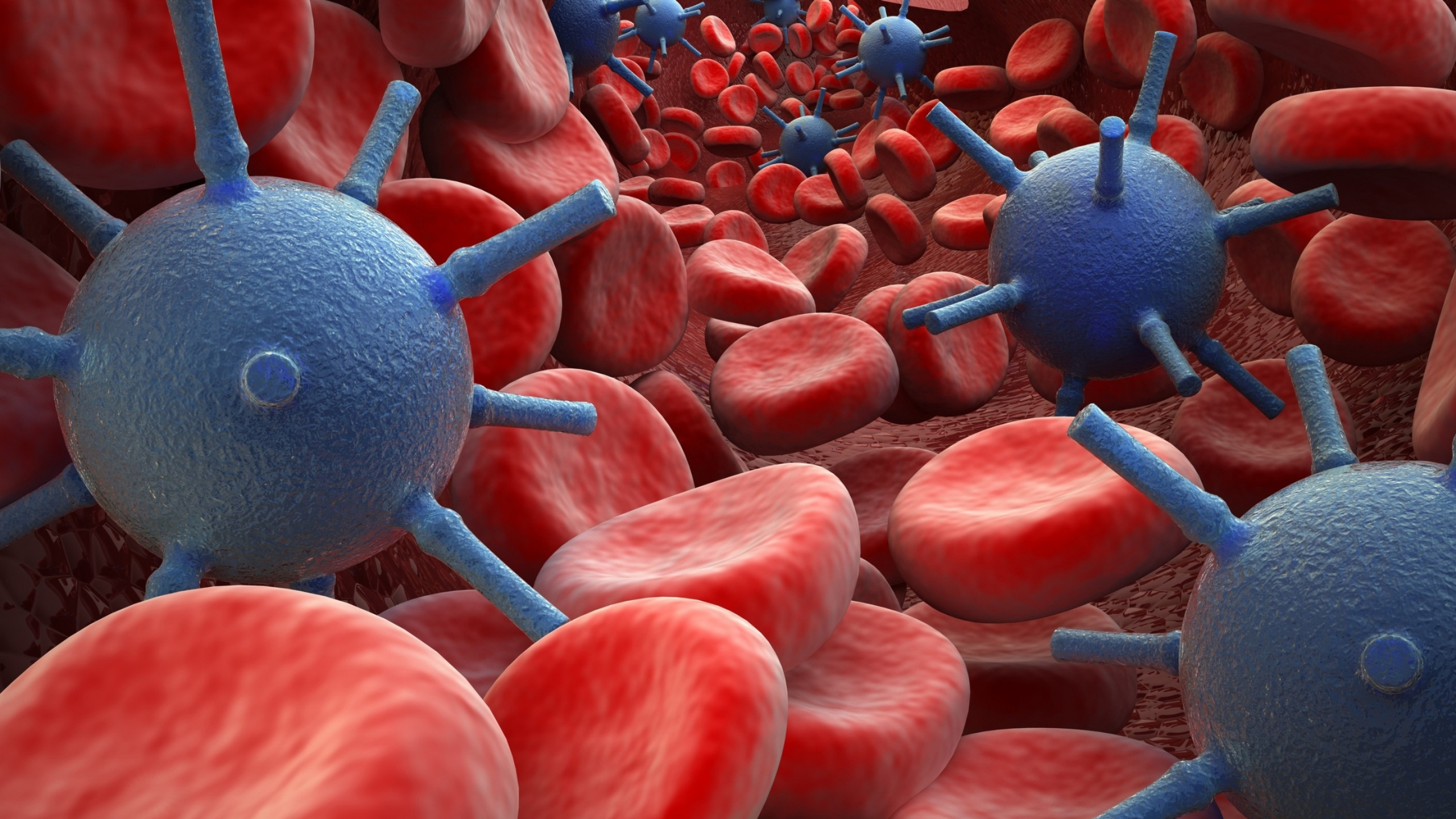 Обои медицинский диагноз, лечение, медицина, пациент, здоровье в разрешении 2560x1440