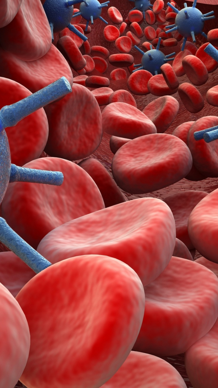 Обои медицинский диагноз, лечение, медицина, пациент, здоровье в разрешении 750x1334