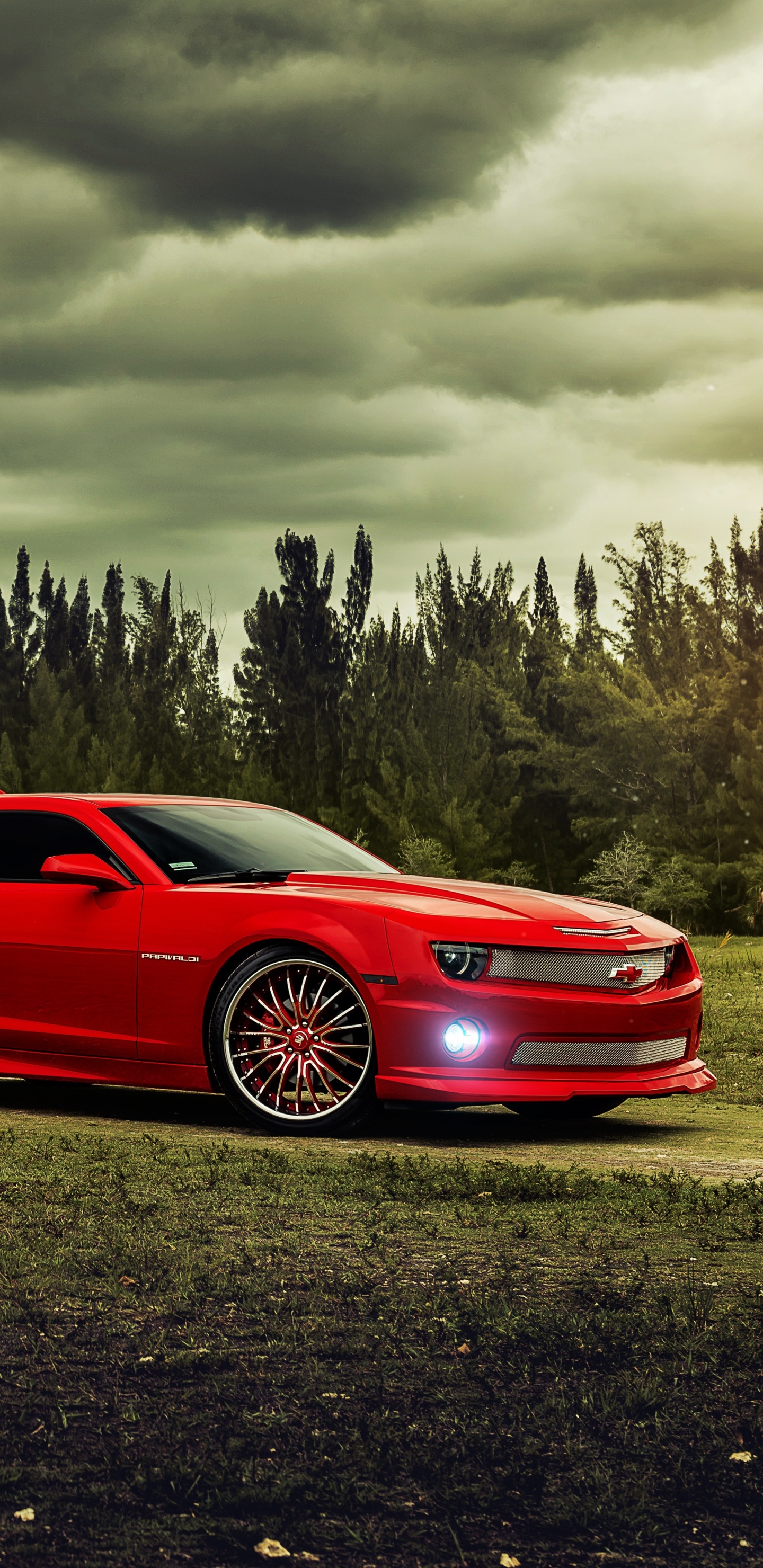 Обои Шевроле Корвет, Шевроле камаро, авто, колесо, мускул кар в разрешении 1440x2960