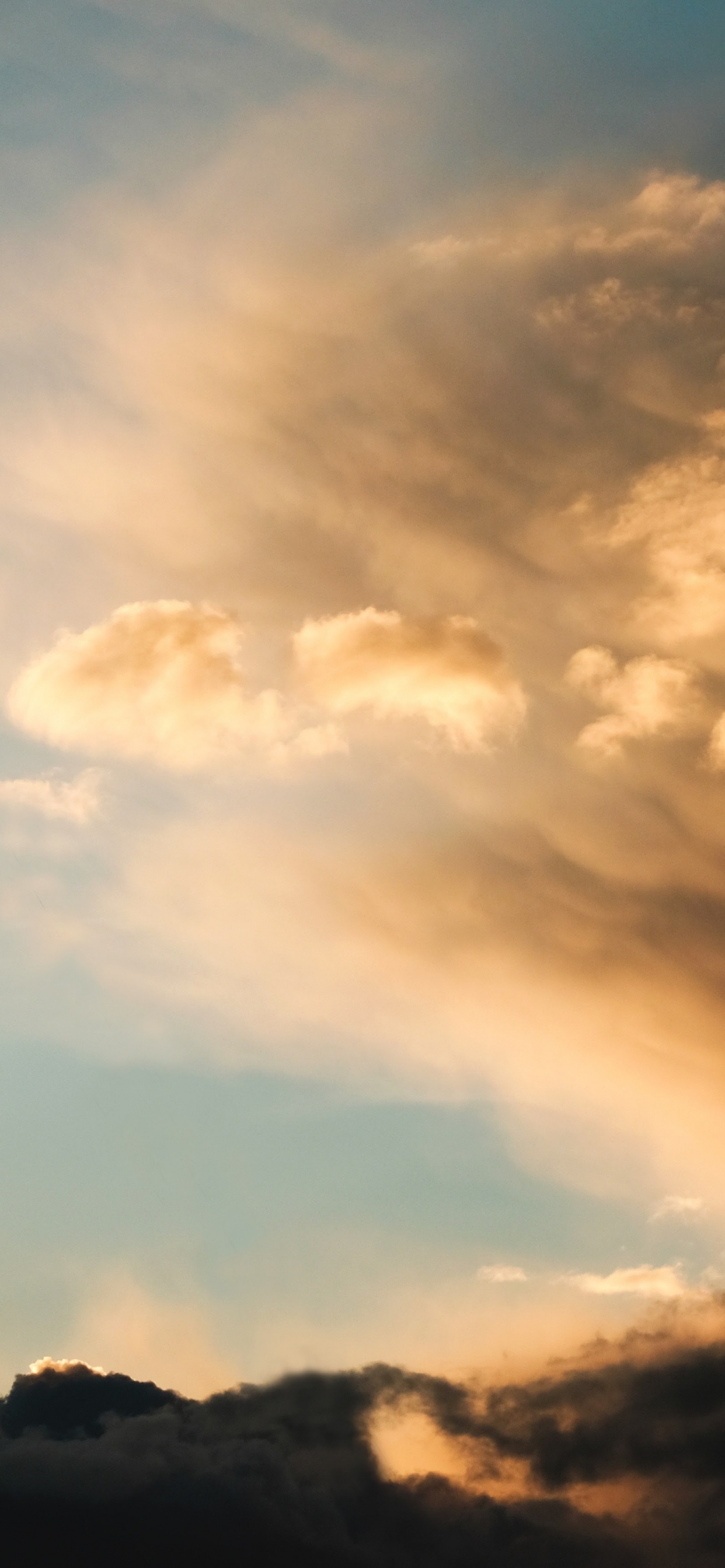 Обои apple, iPhone, iPhone X, яблоко, экзо 20 16 в разрешении 1242x2688