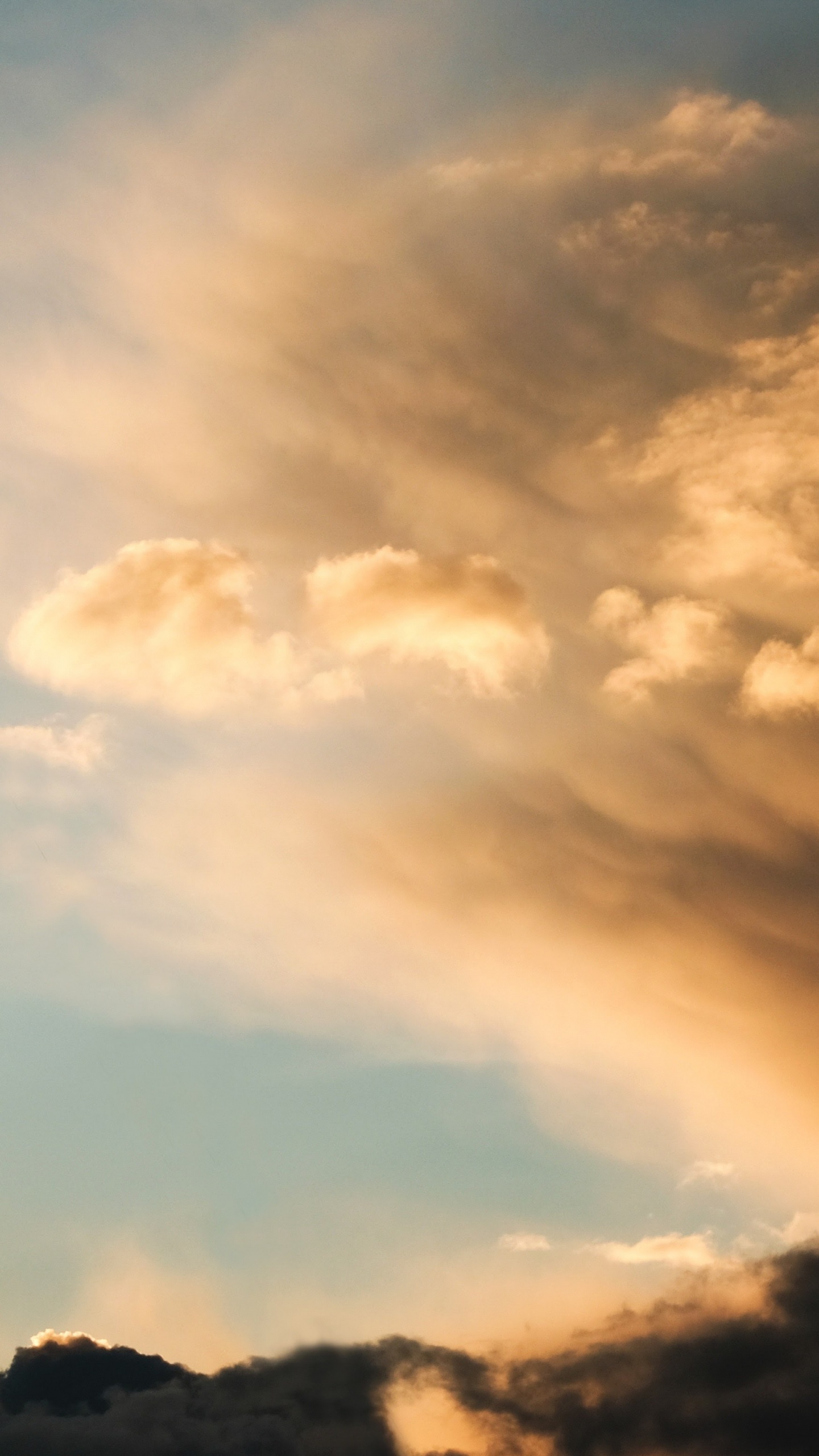 Обои apple, iPhone, iPhone X, яблоко, экзо 20 16 в разрешении 1440x2560