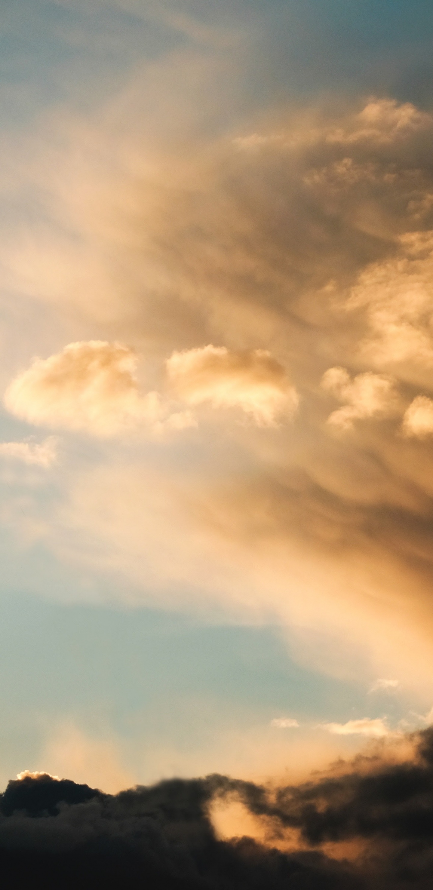 Обои apple, iPhone, iPhone X, яблоко, экзо 20 16 в разрешении 1440x2960