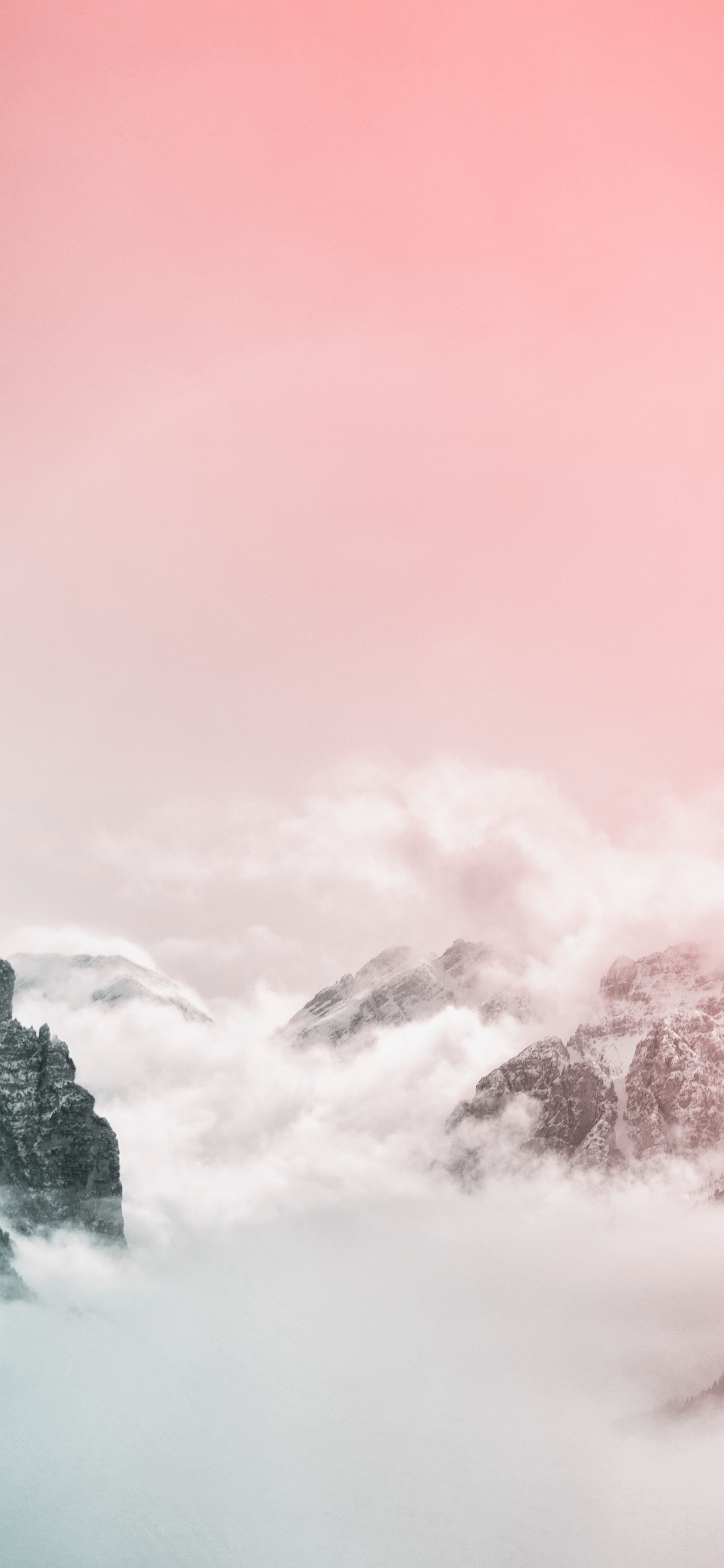 Обои облако, розовый, атмосфера, дерево, туман в разрешении 1242x2688