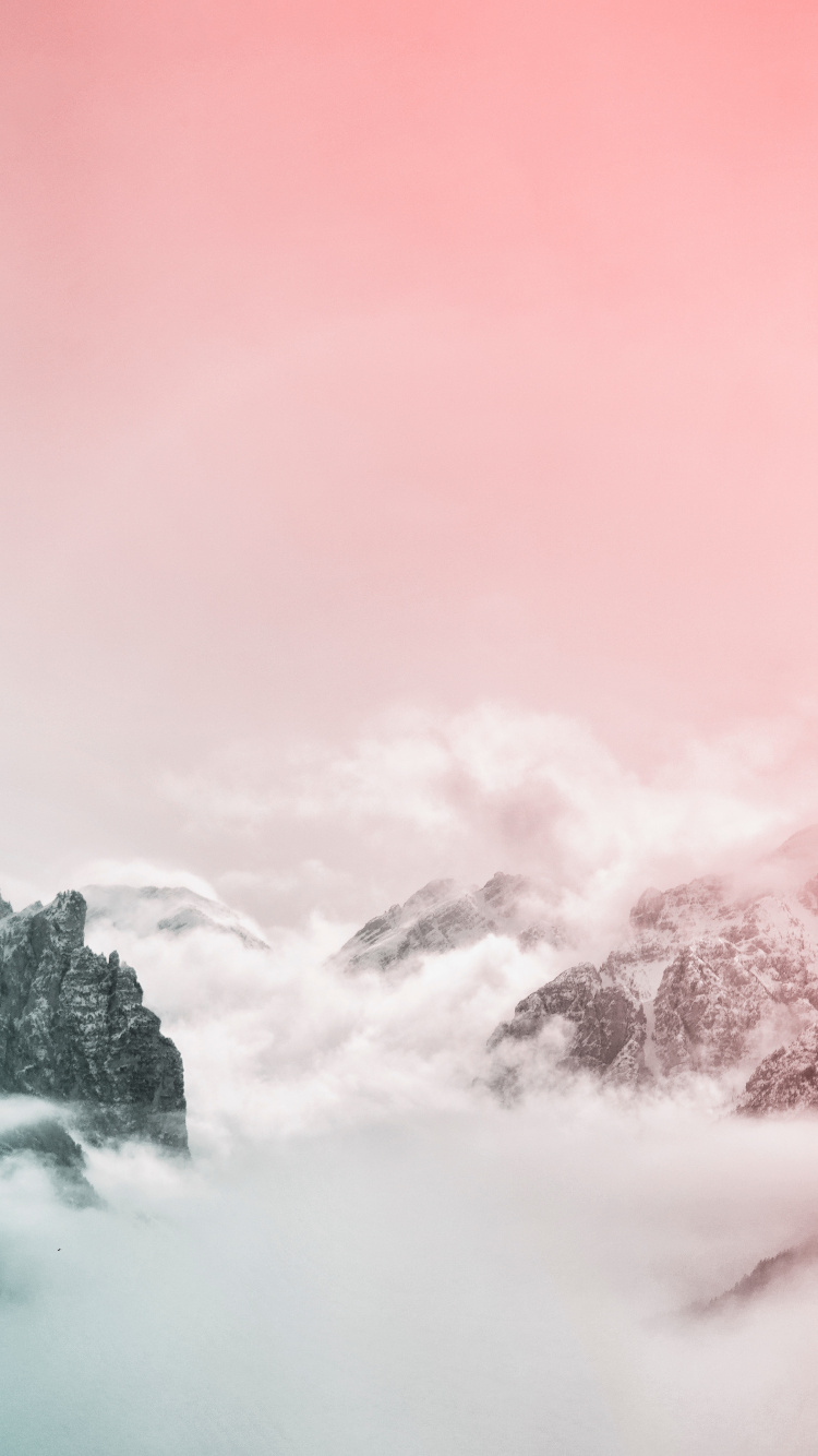 Обои облако, розовый, атмосфера, дерево, туман в разрешении 750x1334