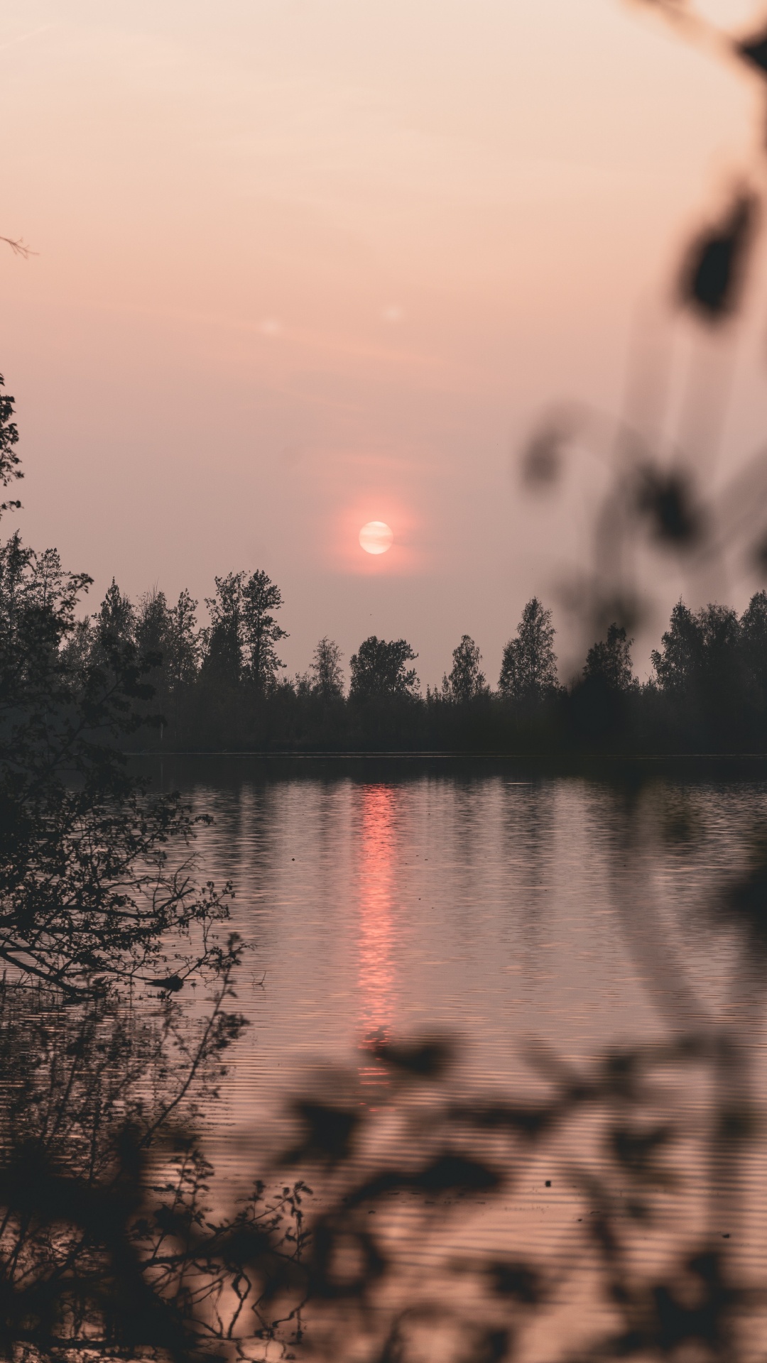 Обои природа, отражение, вода, дерево, восход солнца в разрешении 1080x1920