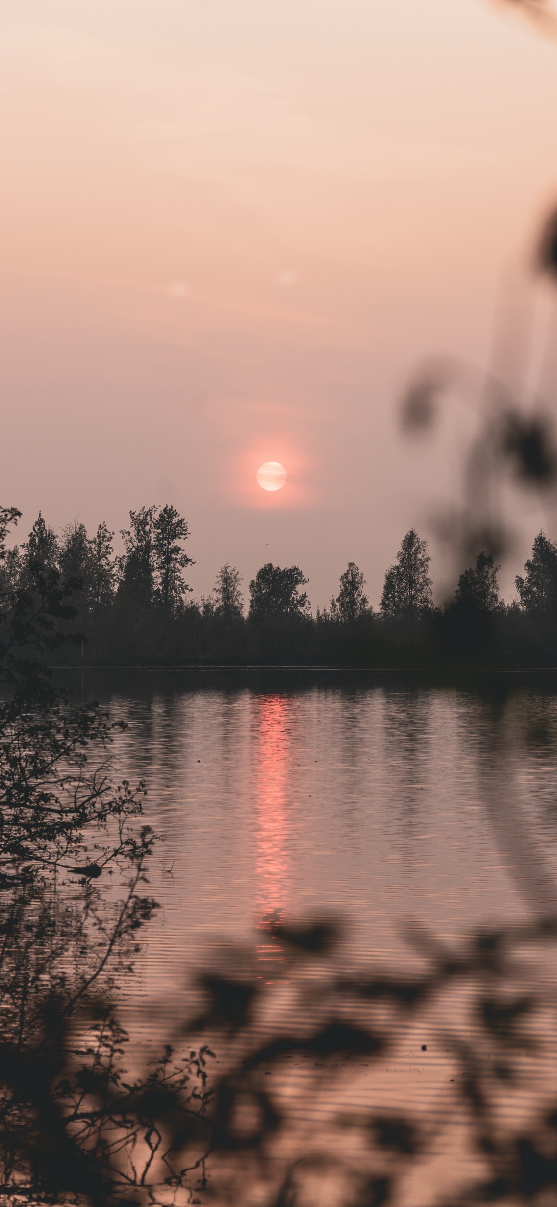 Обои природа, отражение, вода, дерево, восход солнца в разрешении 1125x2436