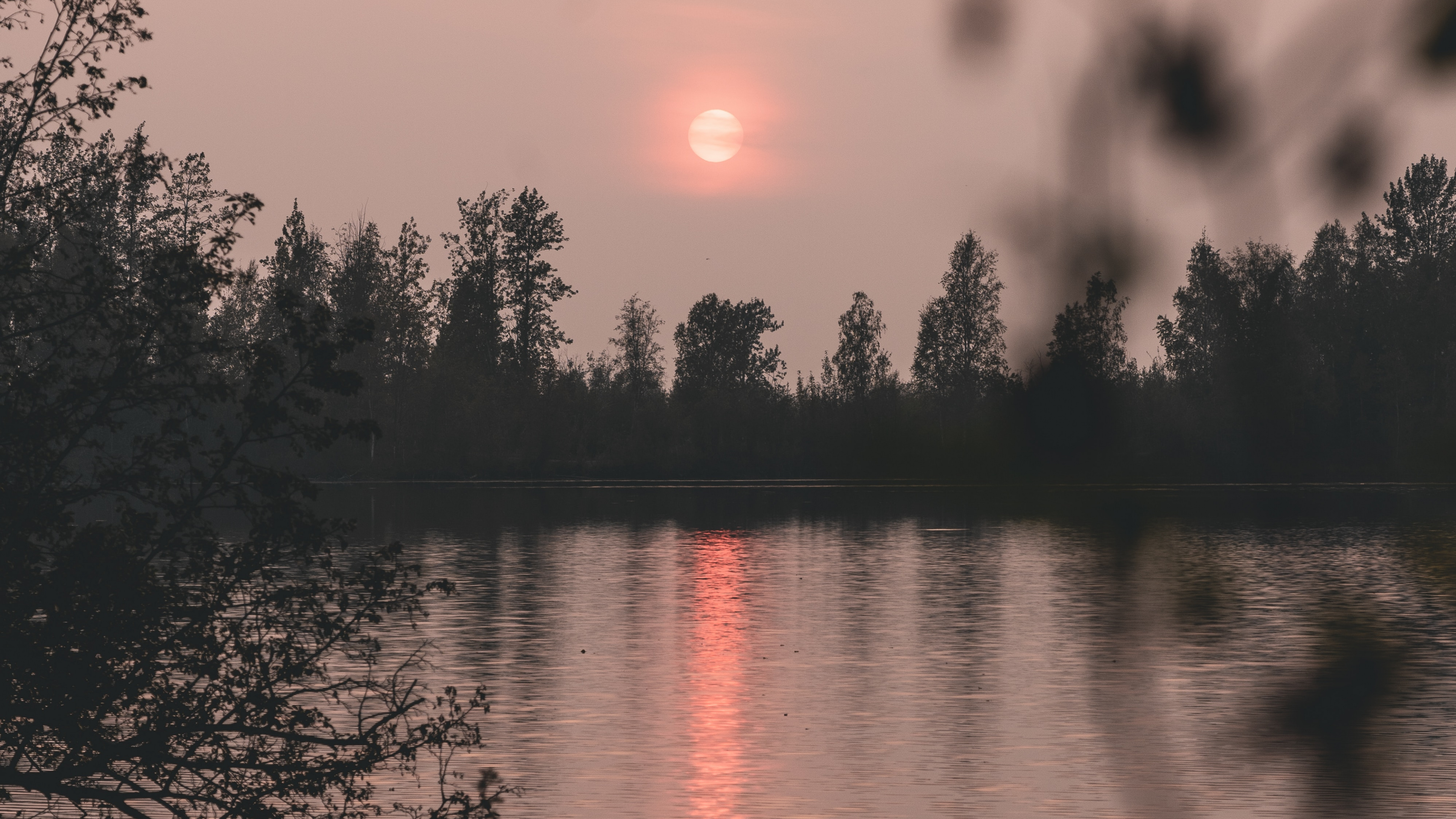 Обои природа, отражение, вода, дерево, восход солнца в разрешении 3840x2160