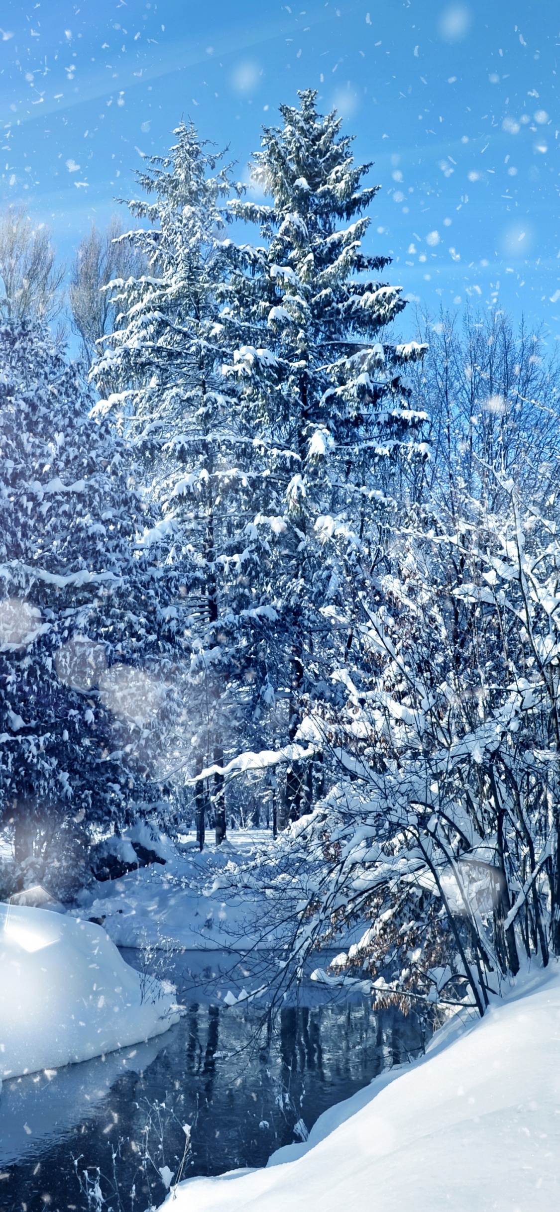 Обои зима, снег, природа, дерево, мороз в разрешении 1125x2436