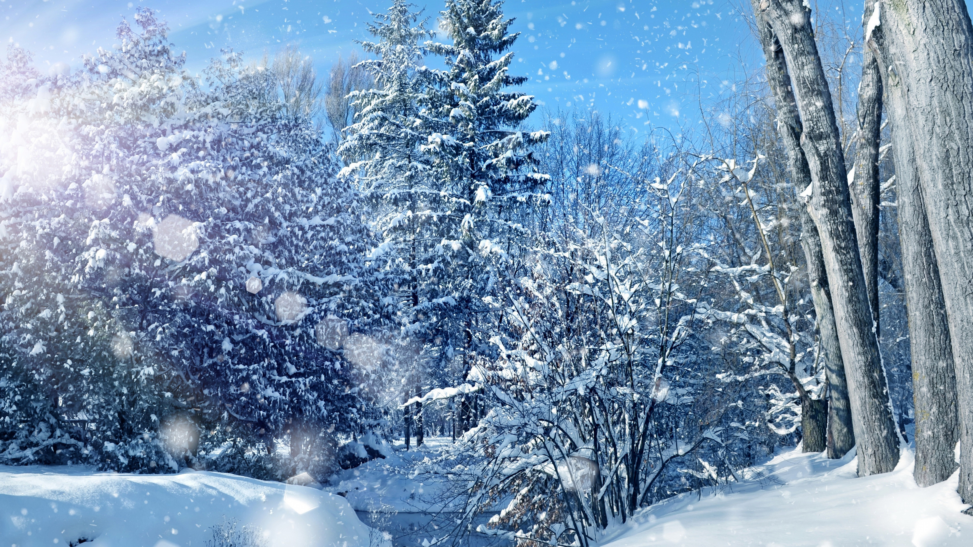 Обои зима, снег, природа, дерево, мороз в разрешении 3840x2160