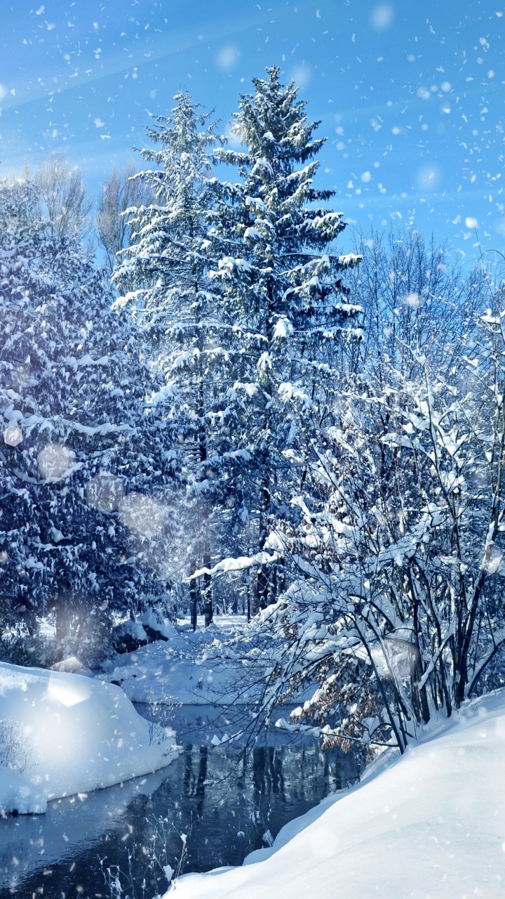 Обои зима, снег, природа, дерево, мороз в разрешении 720x1280