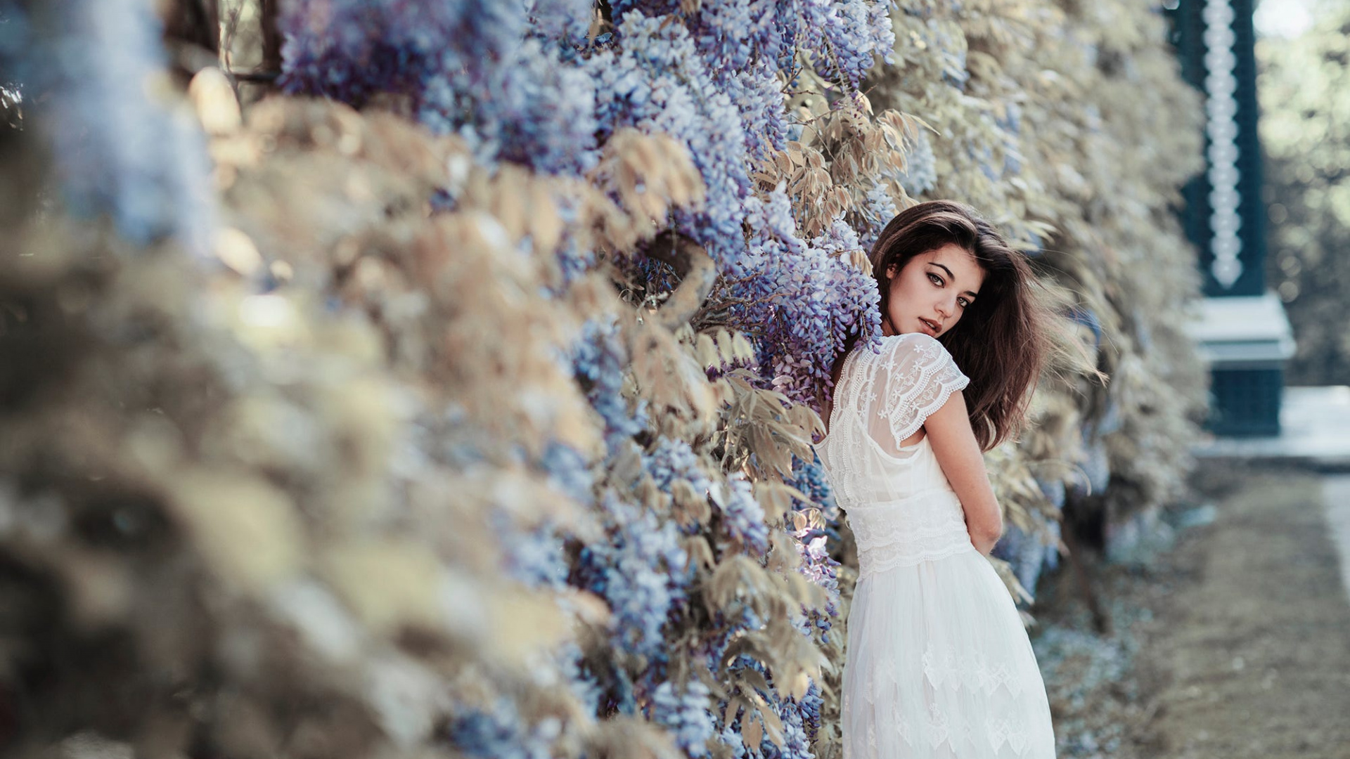 Обои красота, дерево, фэшн, подвенечное платье, платье в разрешении 1920x1080