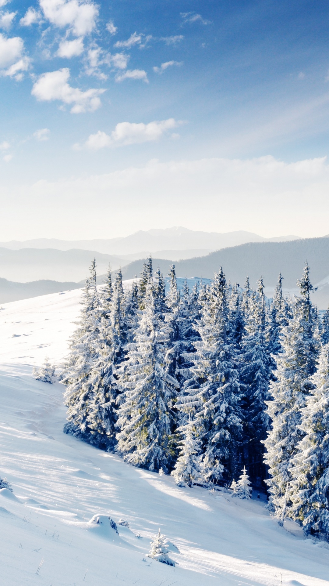 Обои снег, зима, дерево, горный рельеф, замораживание в разрешении 1080x1920