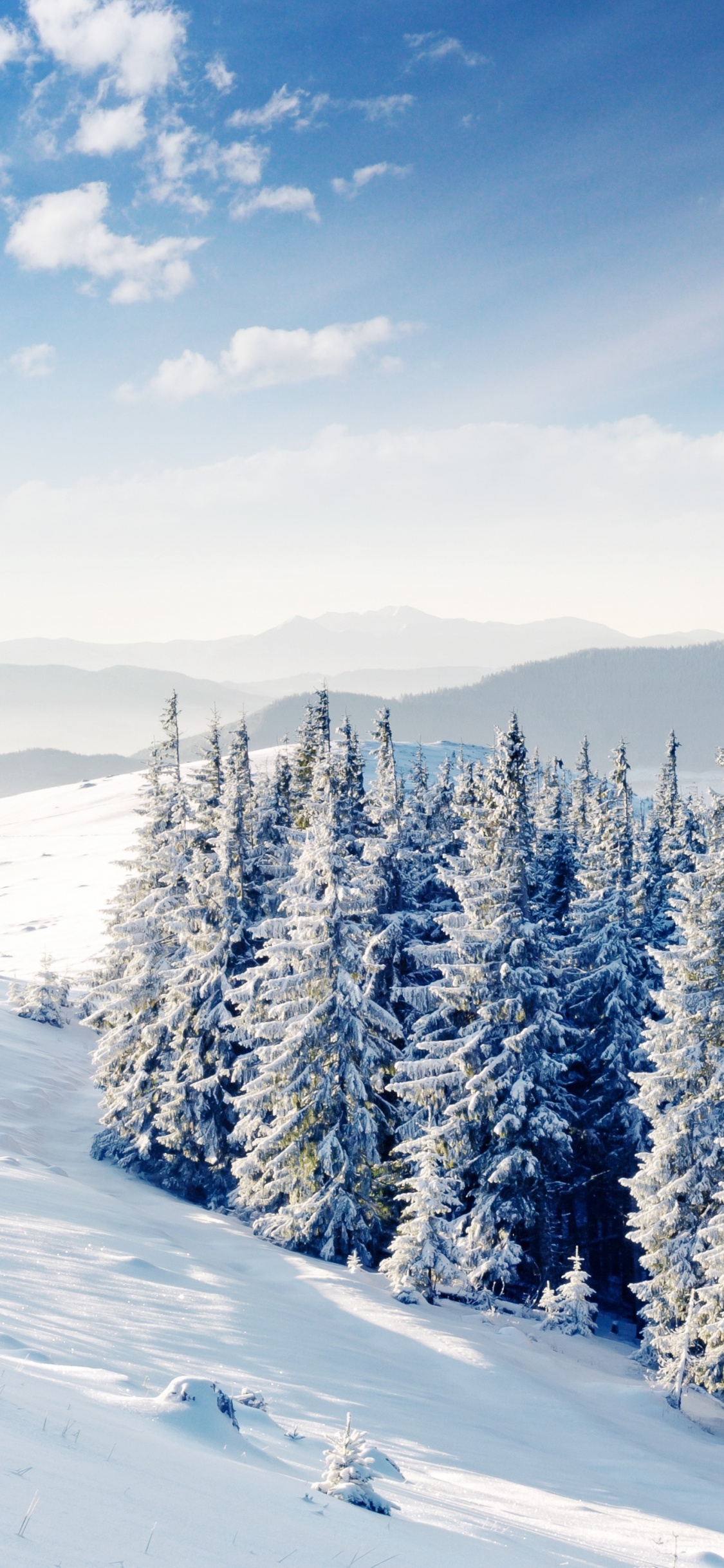 Обои снег, зима, дерево, горный рельеф, замораживание в разрешении 1125x2436