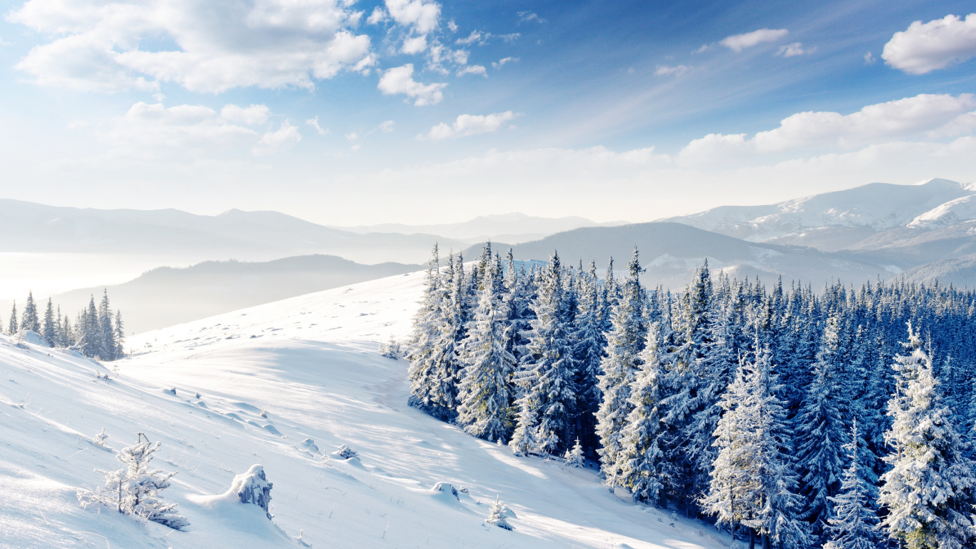 Обои снег, зима, дерево, горный рельеф, замораживание в разрешении 1366x768