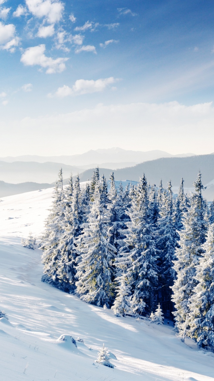 Обои снег, зима, дерево, горный рельеф, замораживание в разрешении 720x1280