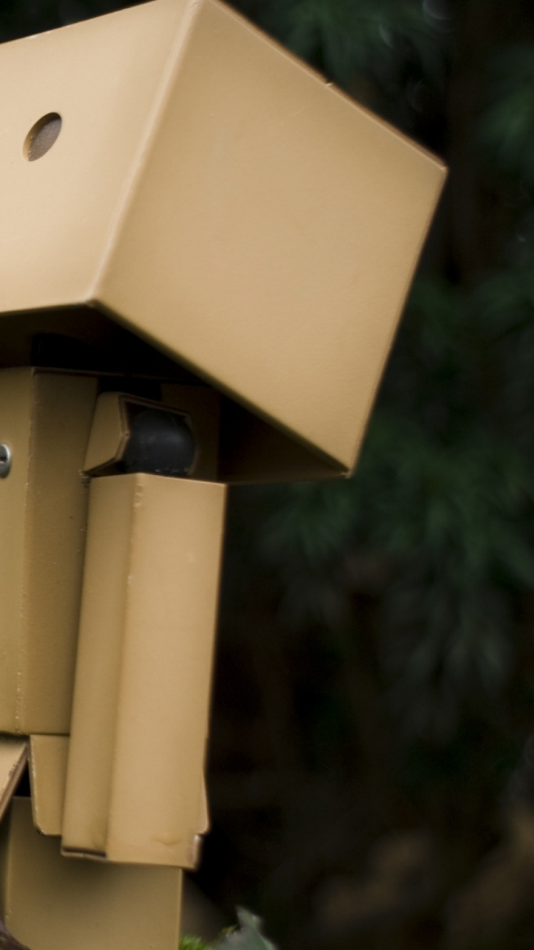 Обои danbo, дерево, зеленый, листья, солнечный свет в разрешении 750x1334