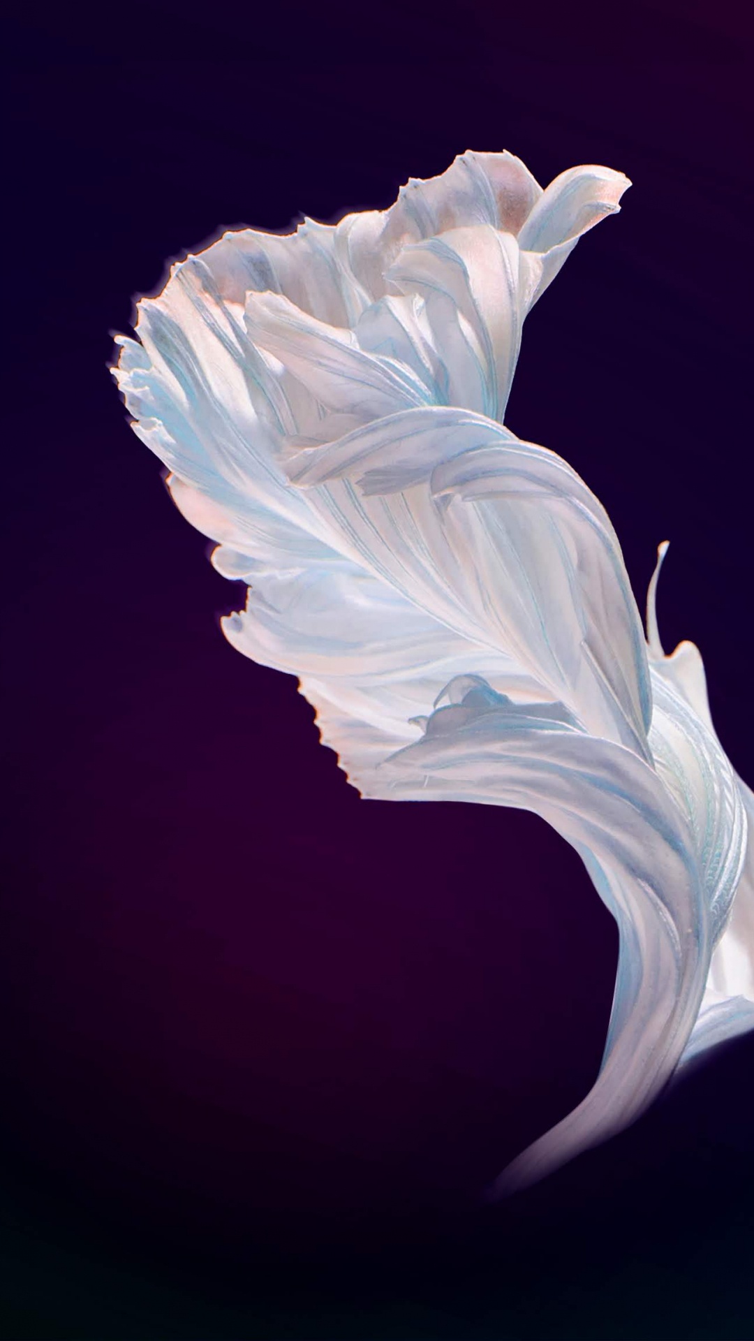 Обои Huawei, Huawei Nova, Huawei Nova 4, invens a9, huawei nova 4e в разрешении 1080x1920