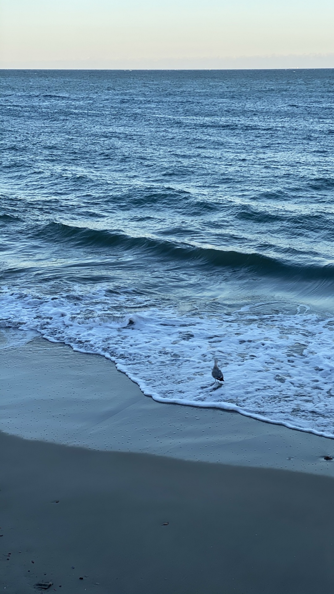 Обои море, вода, наука, физика, водоем в разрешении 1080x1920