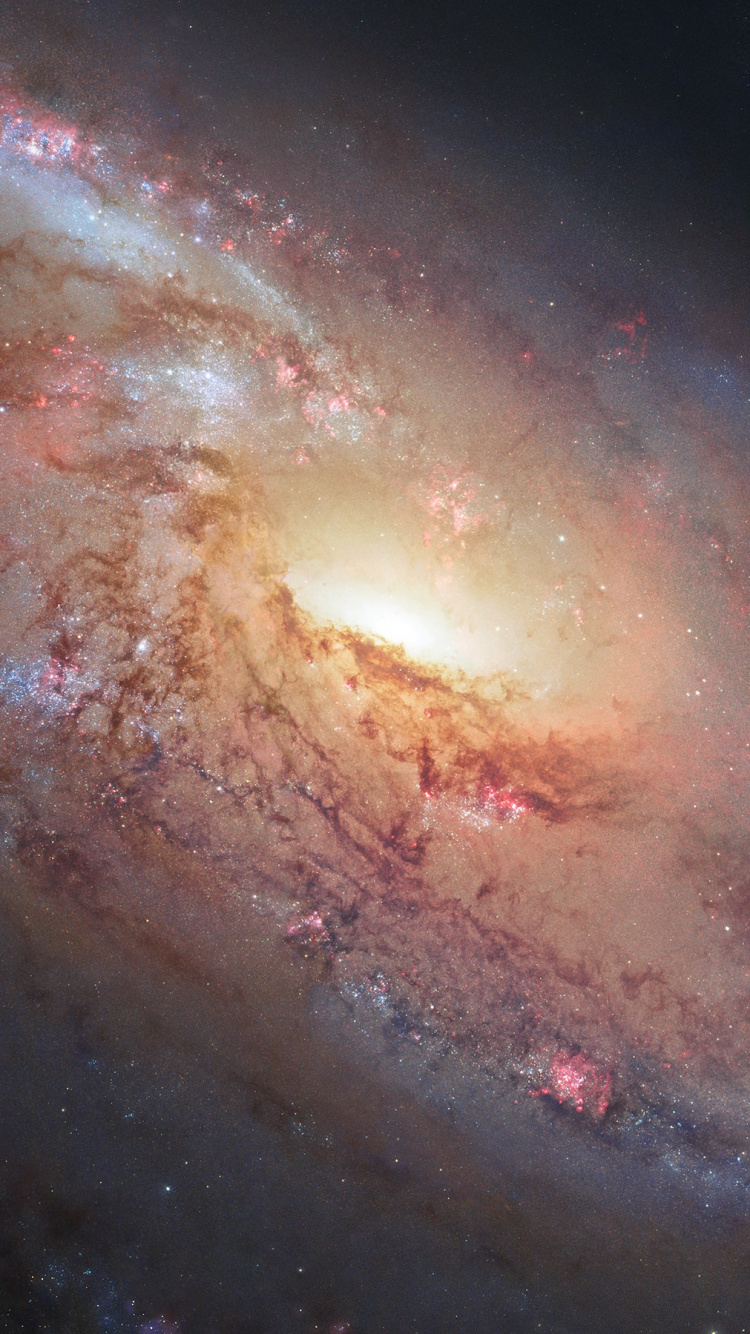 Обои Галактика, туманность, спиральная Галактика, космическое пространство, природа в разрешении 750x1334