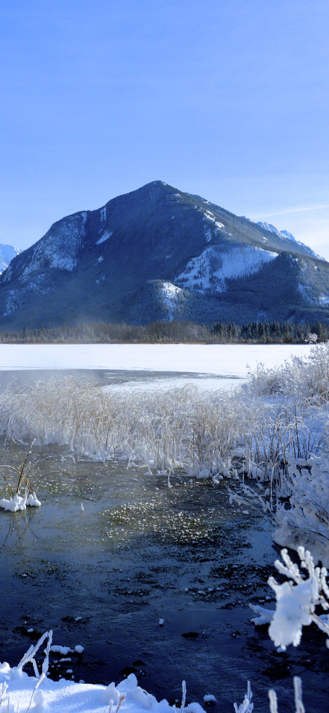 Обои зима, снег, гора, природа, дикая местность в разрешении 1125x2436