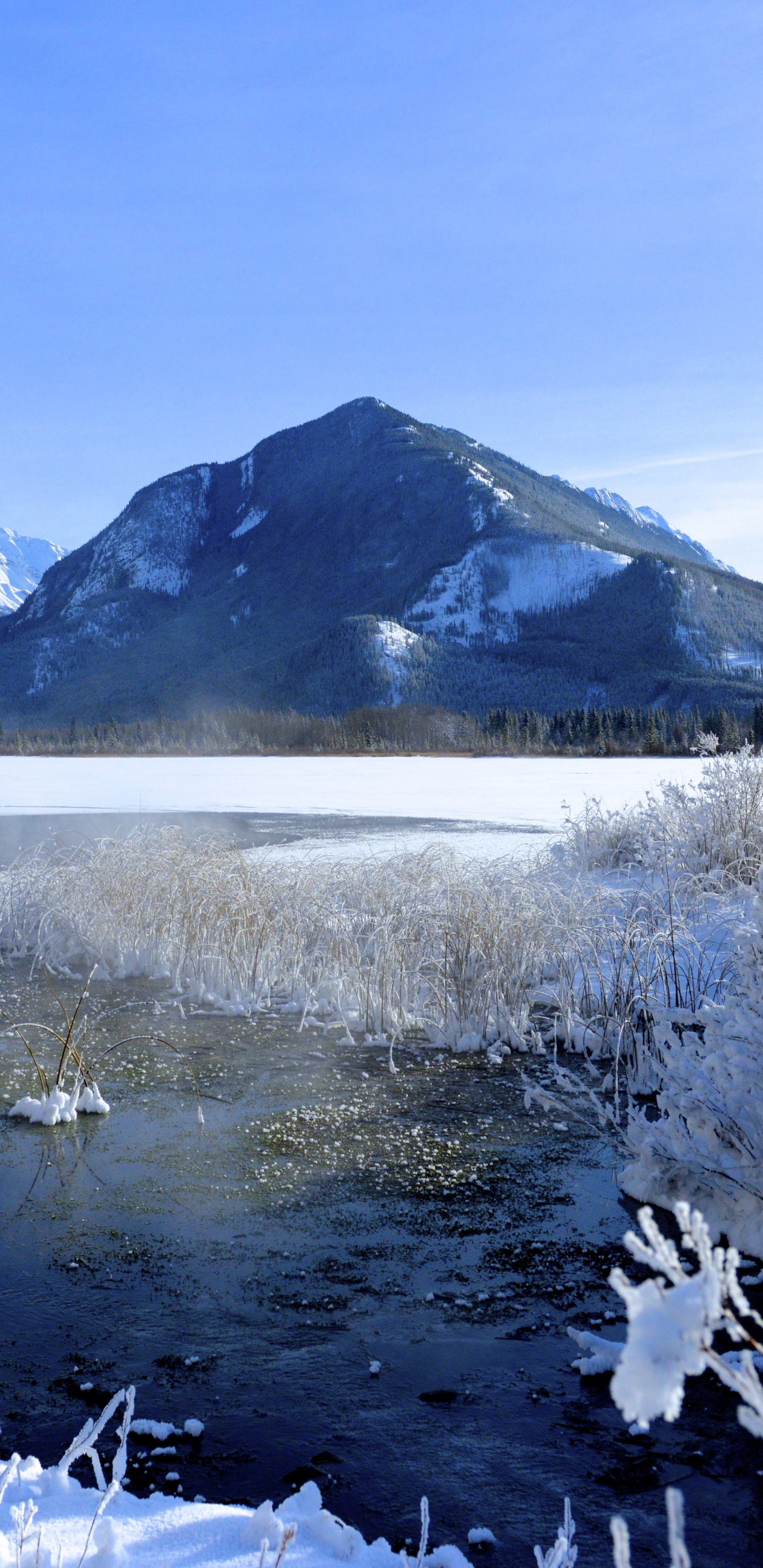 Обои зима, снег, гора, природа, дикая местность в разрешении 1440x2960