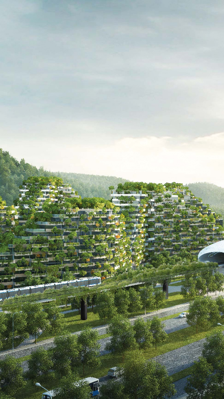 Обои Лючжоу Город Лесной, Лючжоу, город, нагорье, горная станция в разрешении 750x1334