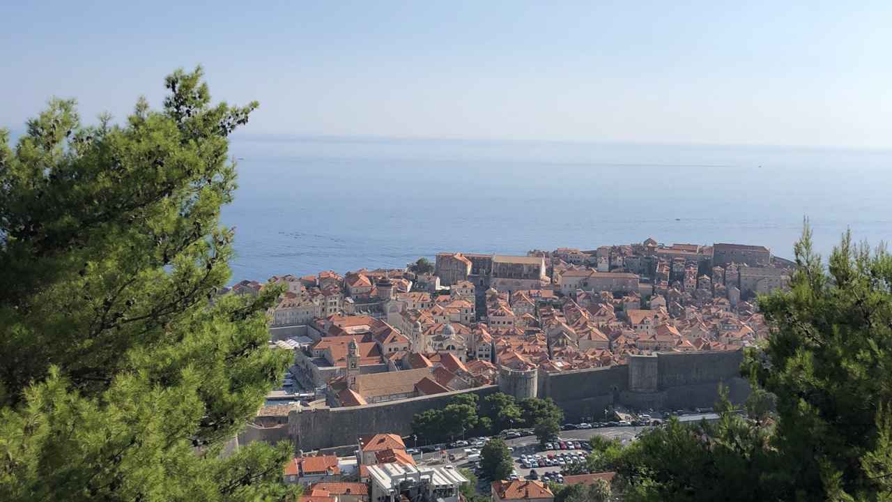 Обои пейзажи гор, наука, биология, растительность, соседство в разрешении 1280x720