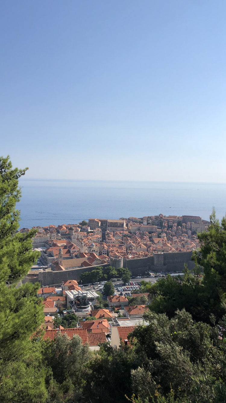 Обои пейзажи гор, наука, биология, растительность, соседство в разрешении 750x1334