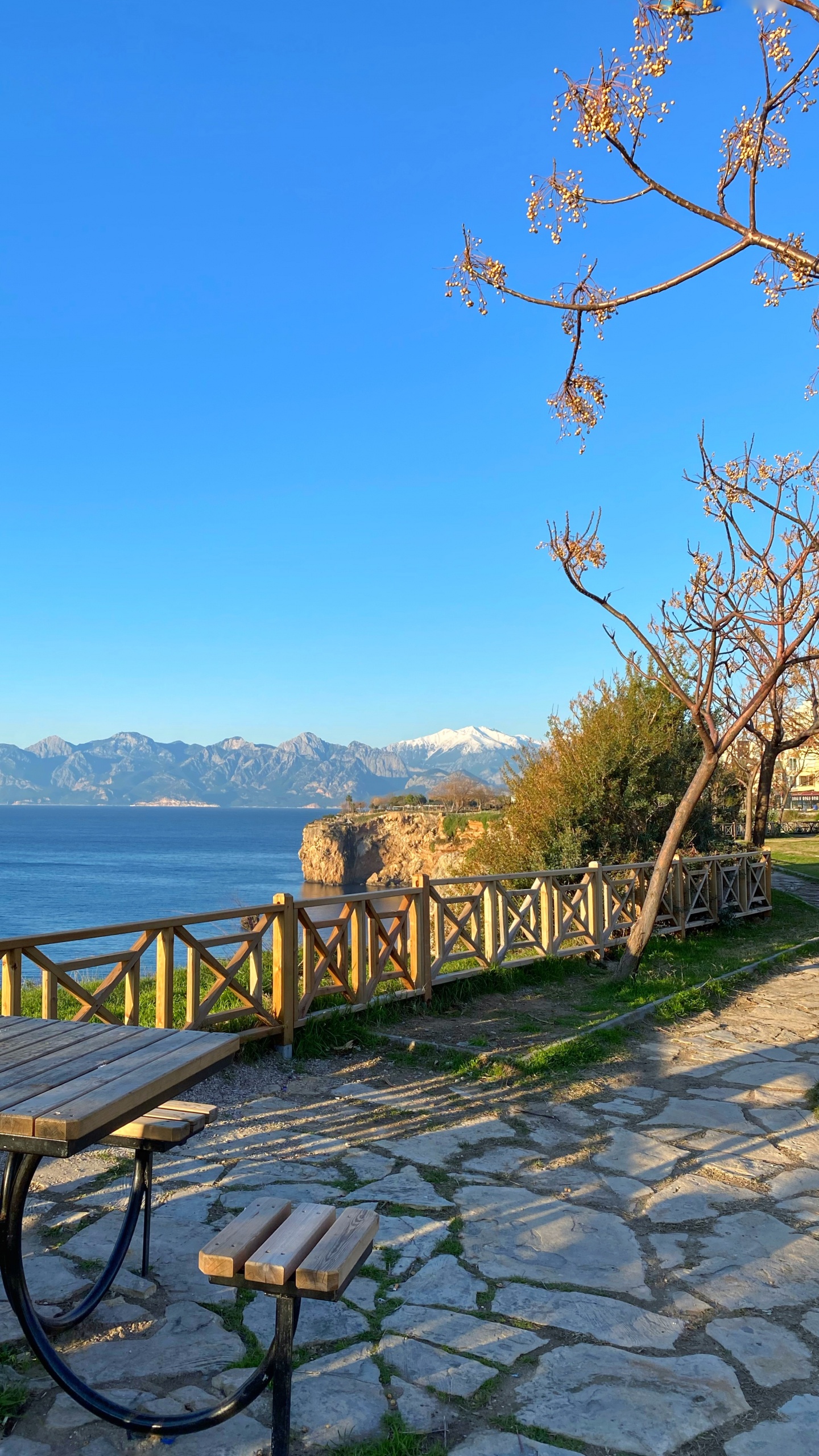 Обои наука, физика, растение, вода, природный ландшафт в разрешении 1440x2560