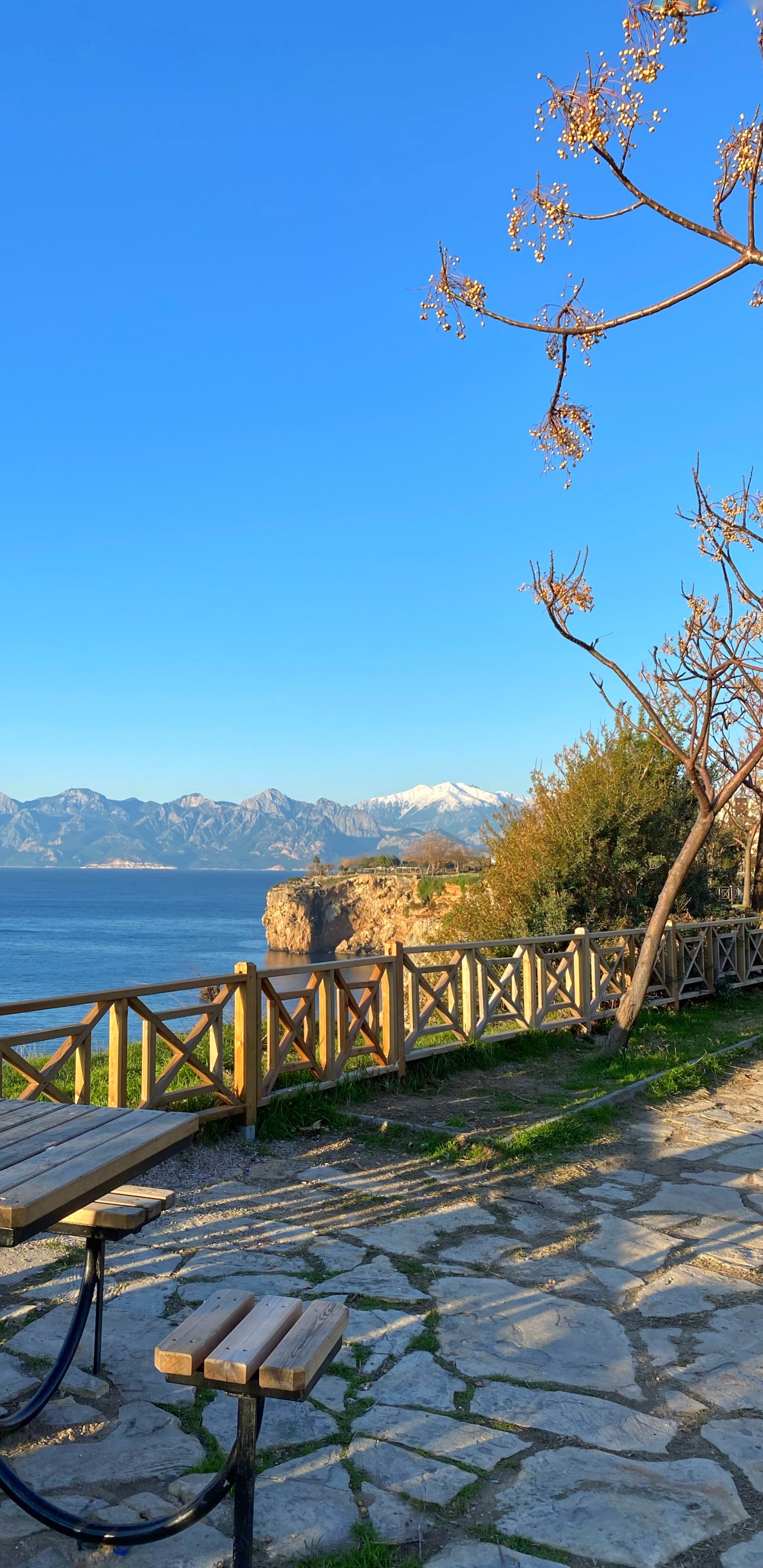 Обои наука, физика, растение, вода, природный ландшафт в разрешении 1440x2960