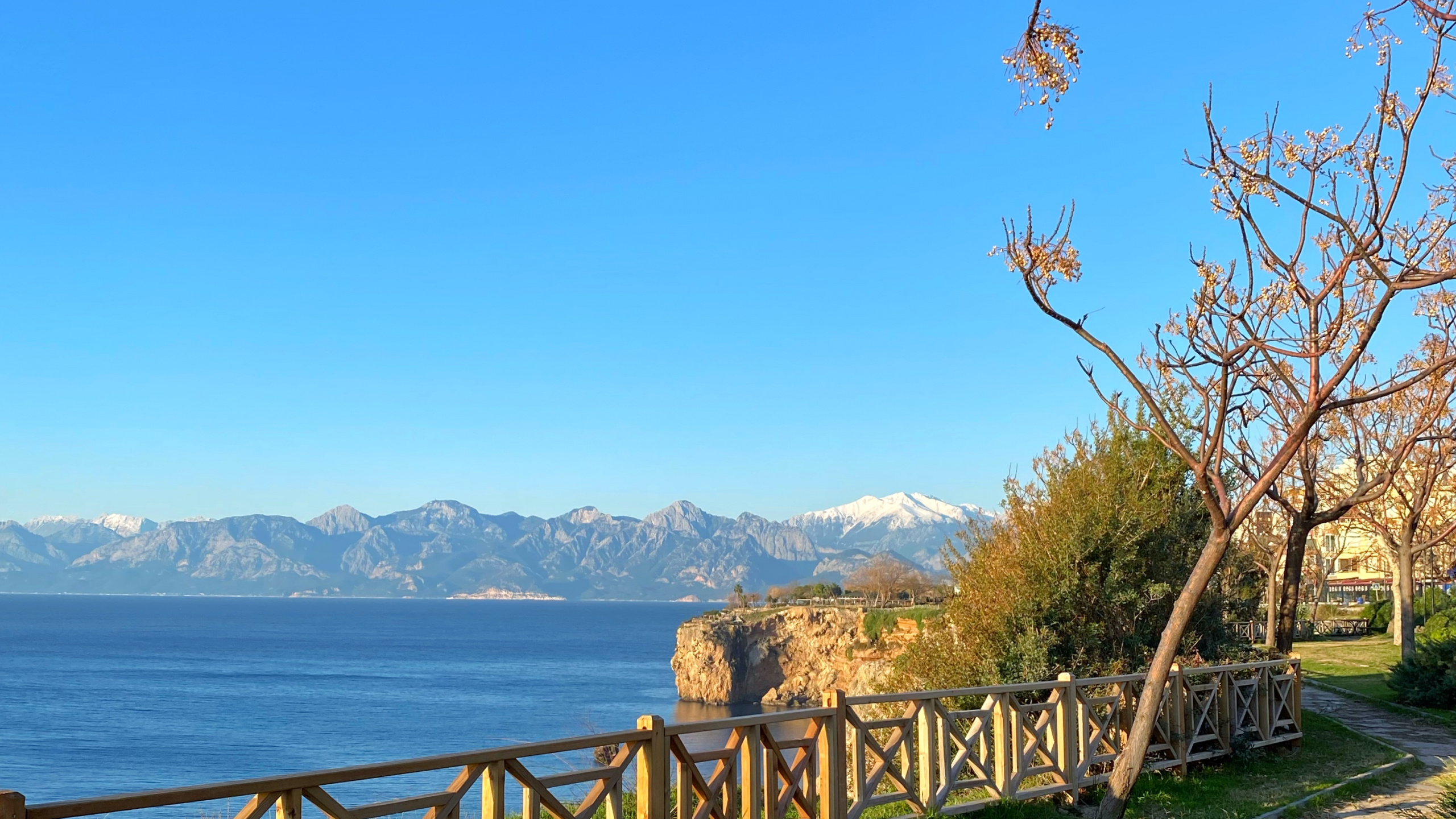 Обои наука, физика, растение, вода, природный ландшафт в разрешении 2560x1440