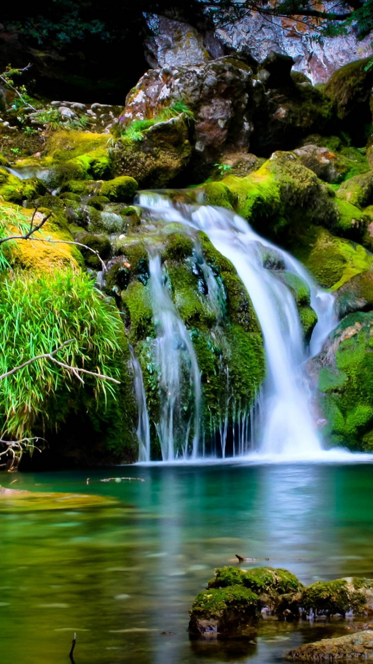 Обои природа, водоем, гидроресурсы, водопад, поток в разрешении 750x1334