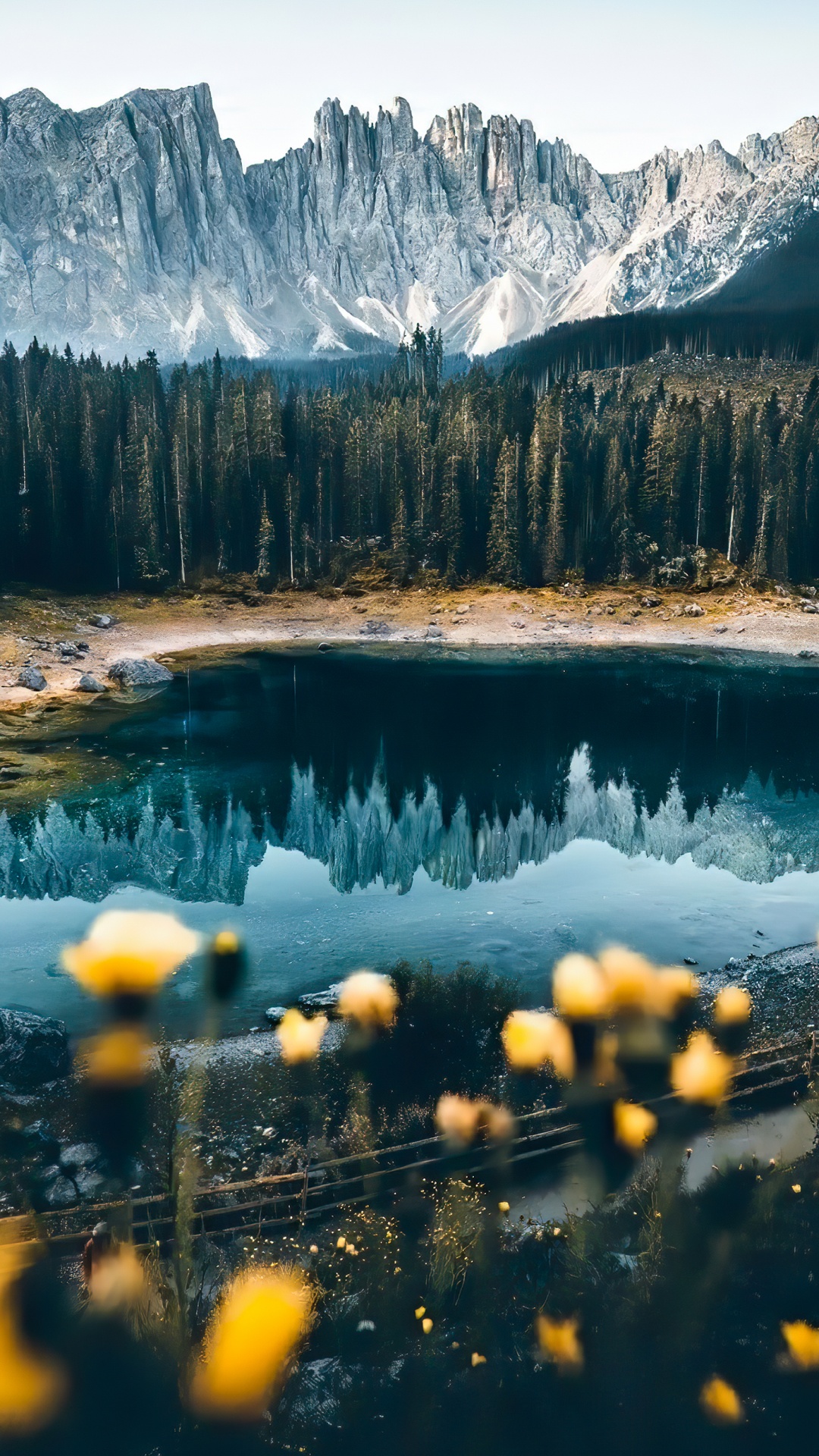 Обои Карерзее, пейзаж, вода, гора, растение в разрешении 1080x1920