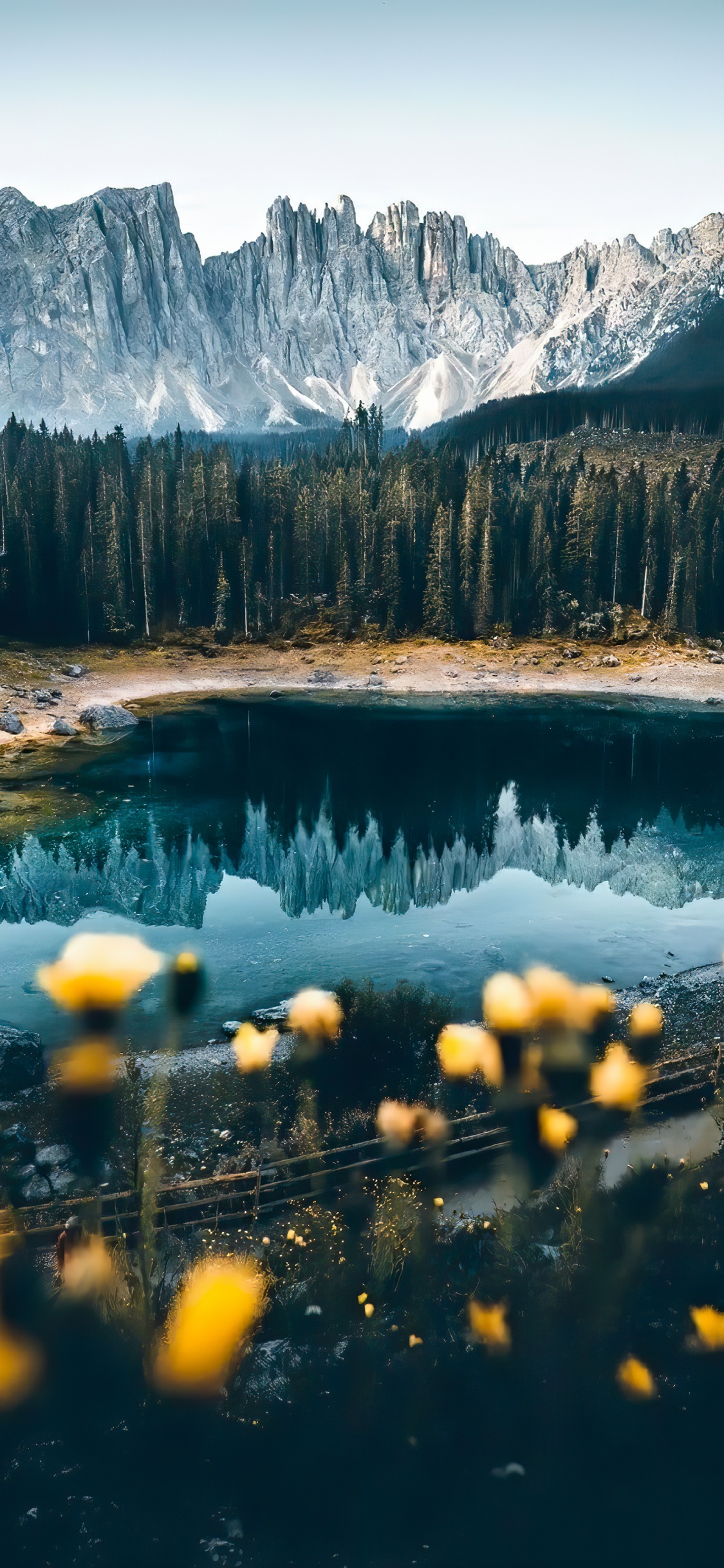 Обои Карерзее, пейзаж, вода, гора, растение в разрешении 1125x2436