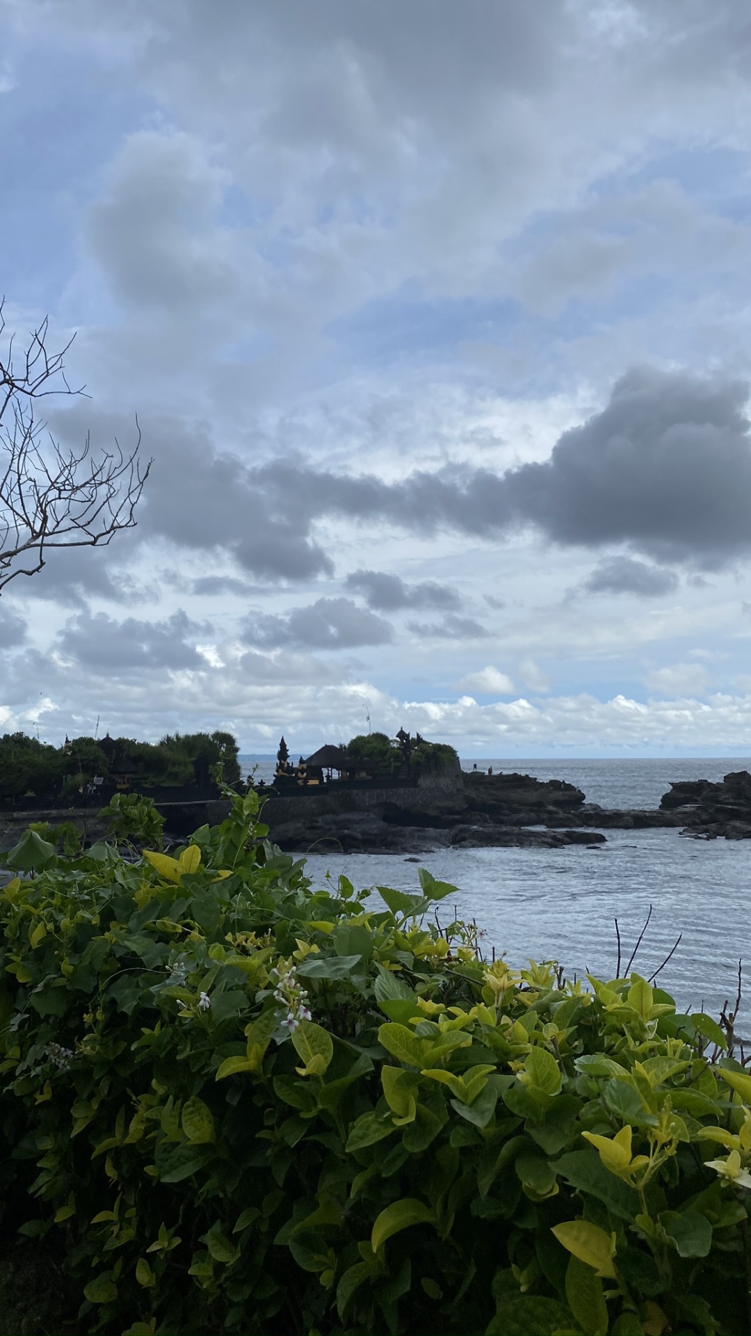 Обои вода, лист, наука, растительность, облако в разрешении 1080x1920