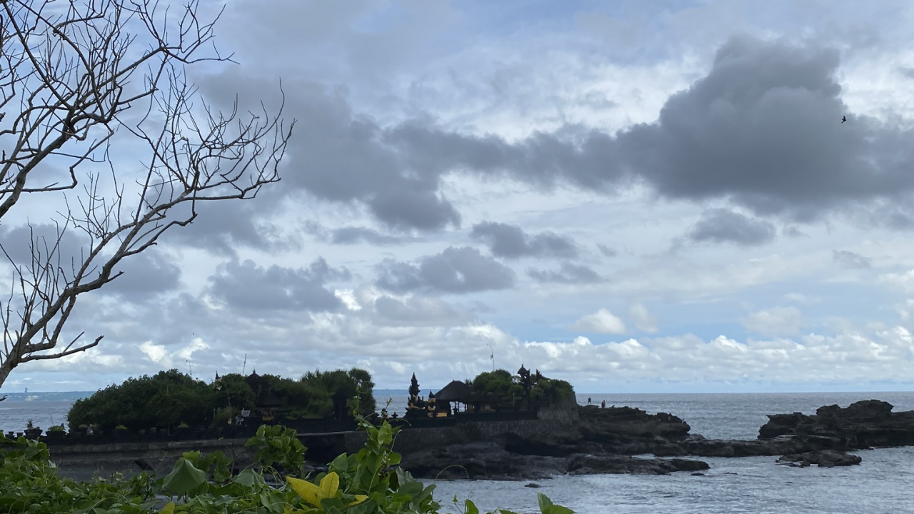 Обои вода, лист, наука, растительность, облако в разрешении 1280x720