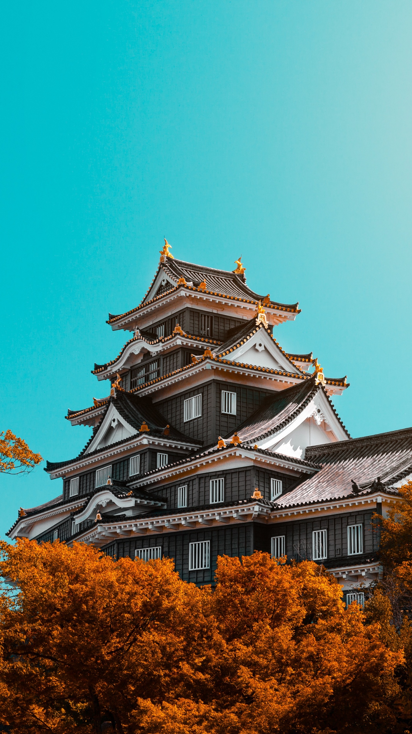 Обои природа, камера, облако, Замок Окаяма, ориентир в разрешении 1440x2560