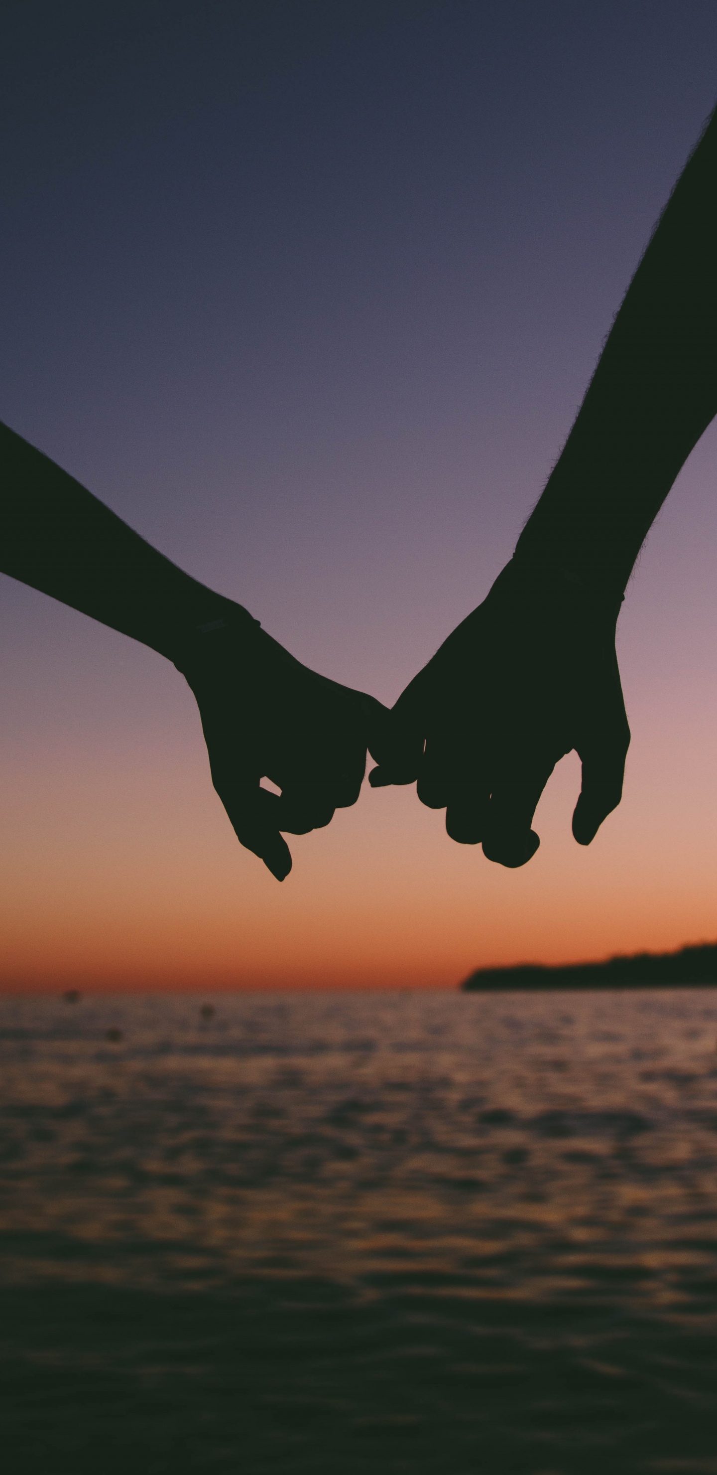 Обои облако, книга, дерево, небо, крыло в разрешении 1440x2960