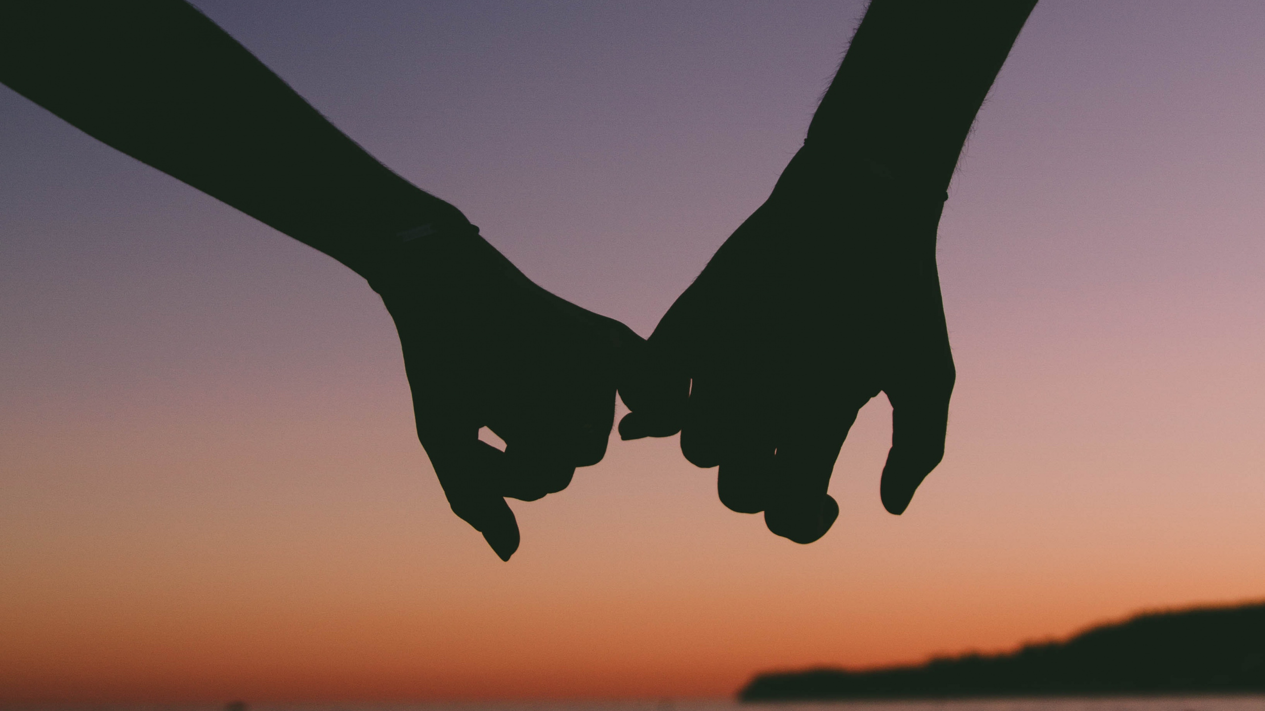 Обои облако, книга, дерево, небо, крыло в разрешении 2560x1440